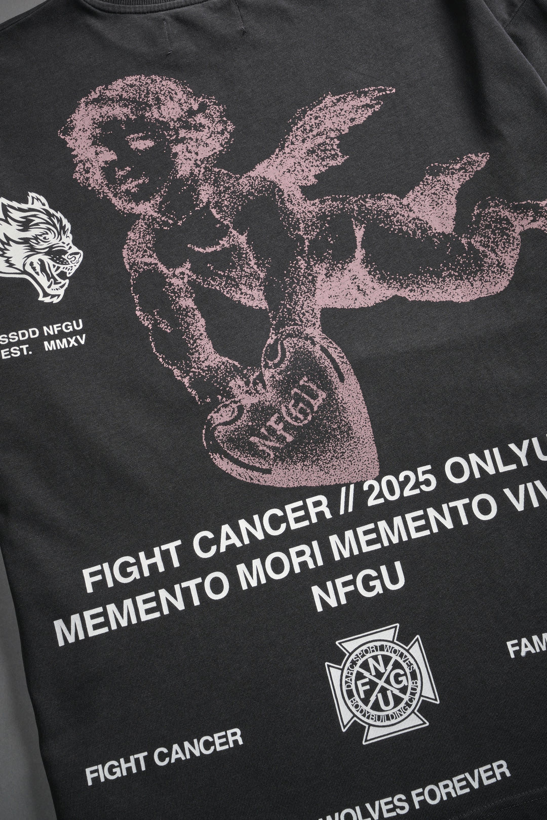 Fight Cancer NFGU "Premium" Oversized Tee in Wolf Gray