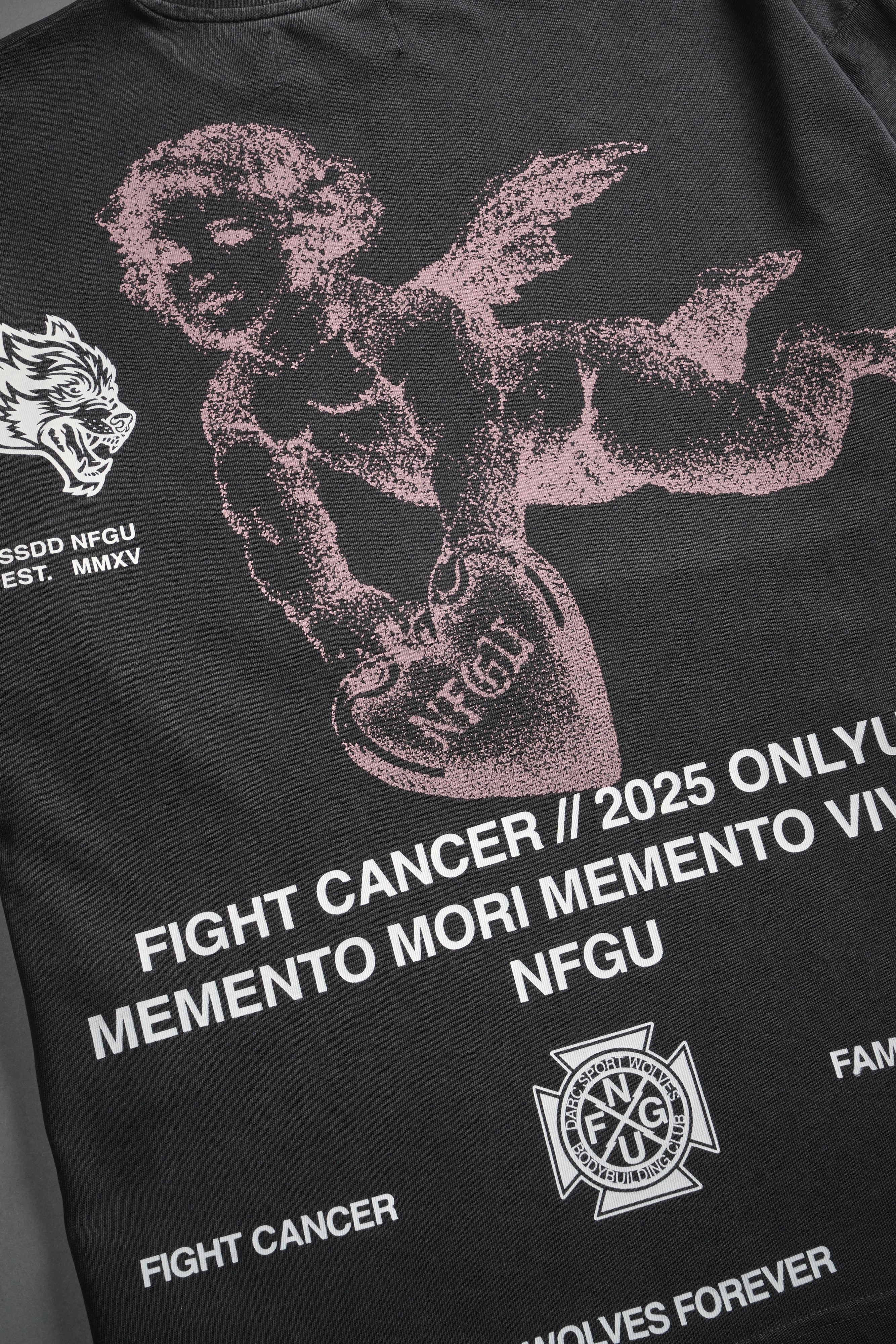 Fight Cancer NFGU "Premium" Oversized Tee in Wolf Gray