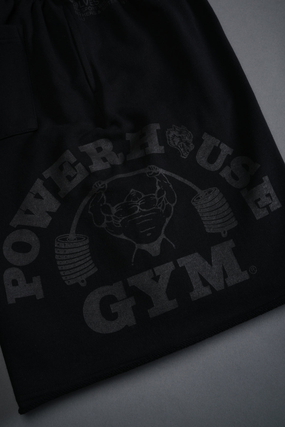 Powerhouse of the Wolves Grunge Brock Sweat Shorts in Black