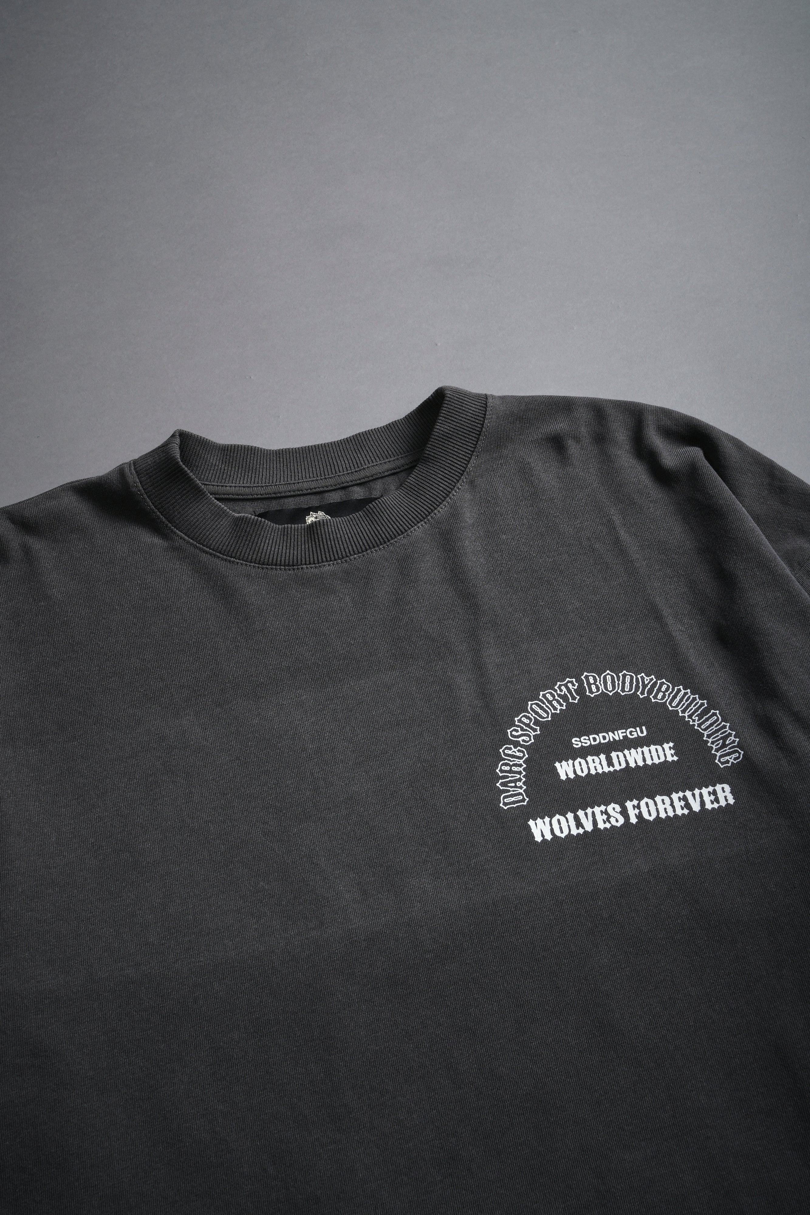 The One You Feed V2 "Premium" Oversized Unisex Tee in Wolf Gray