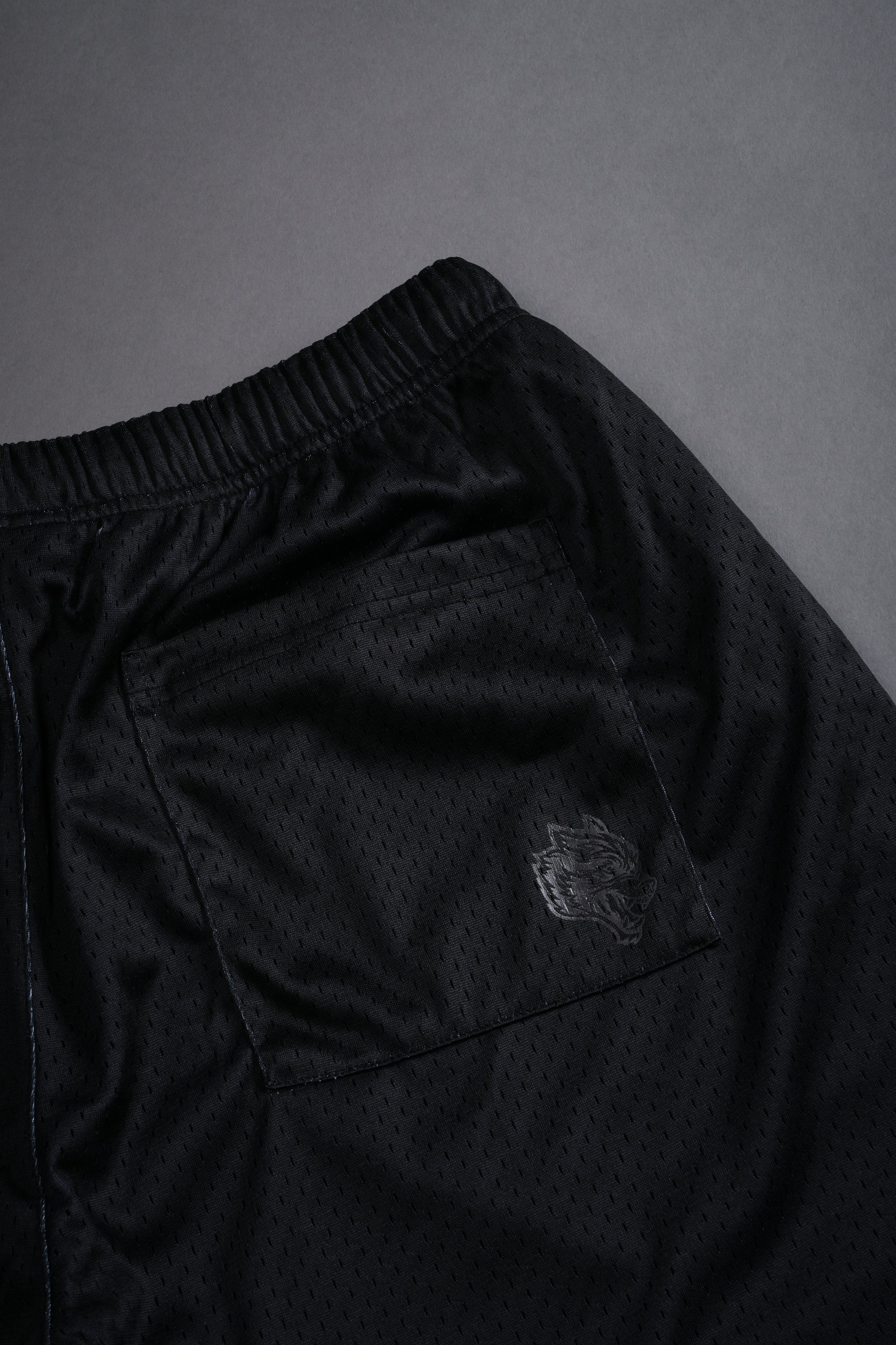 Sacred Flash Mesh Shorts in Black