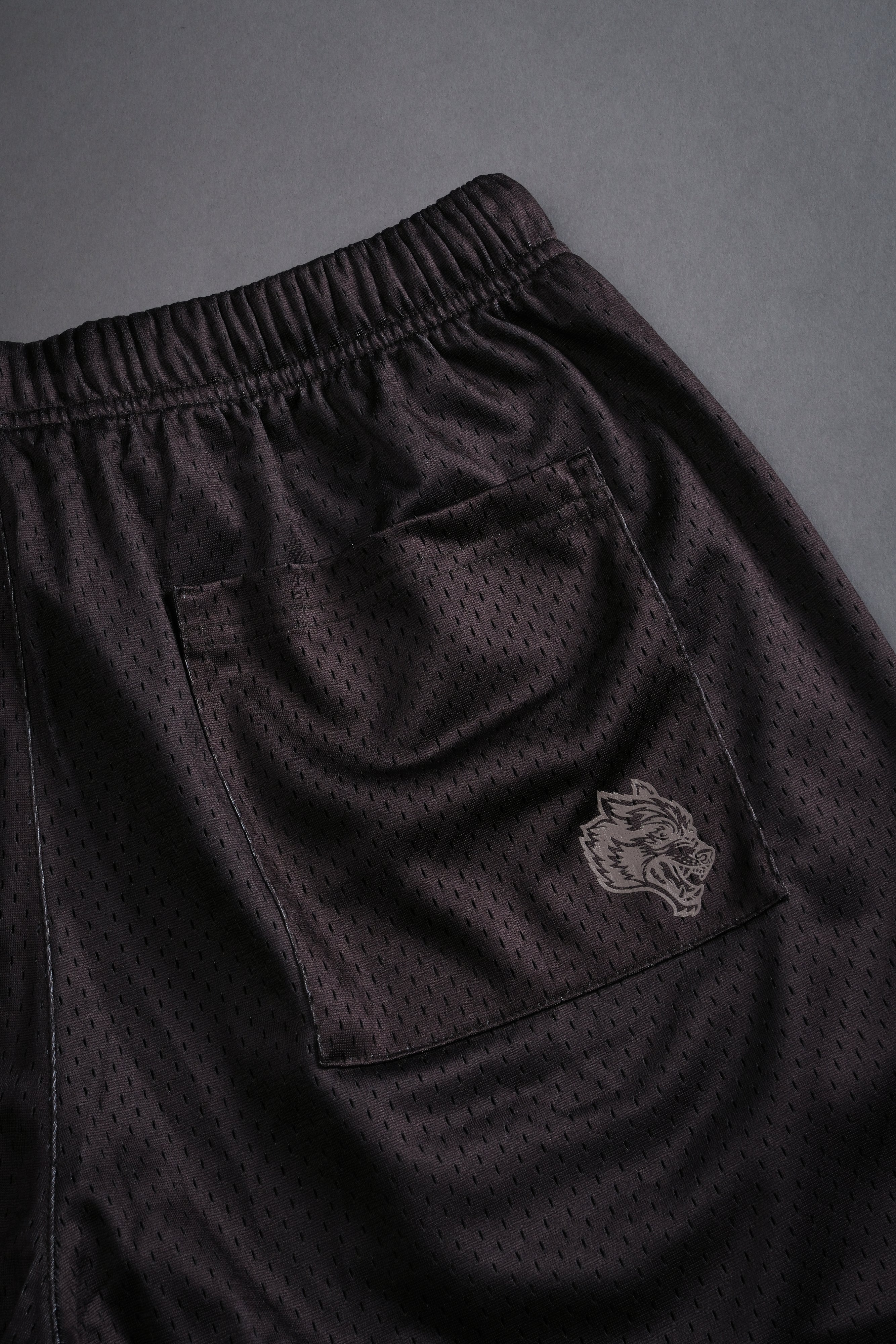 Sacred Flash Mesh Shorts in Darc Brown