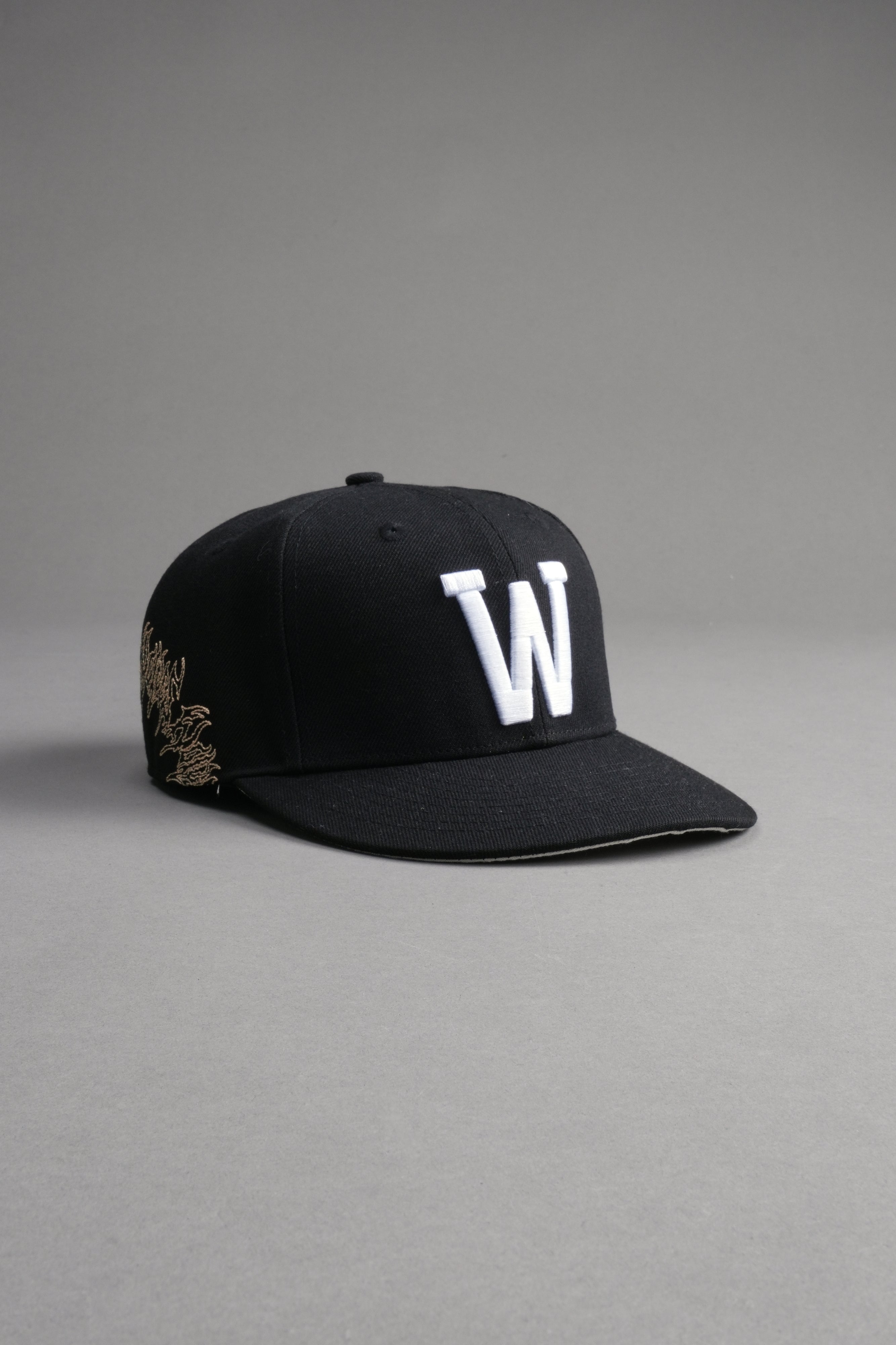 Hesh Core Fitted Cap in Black