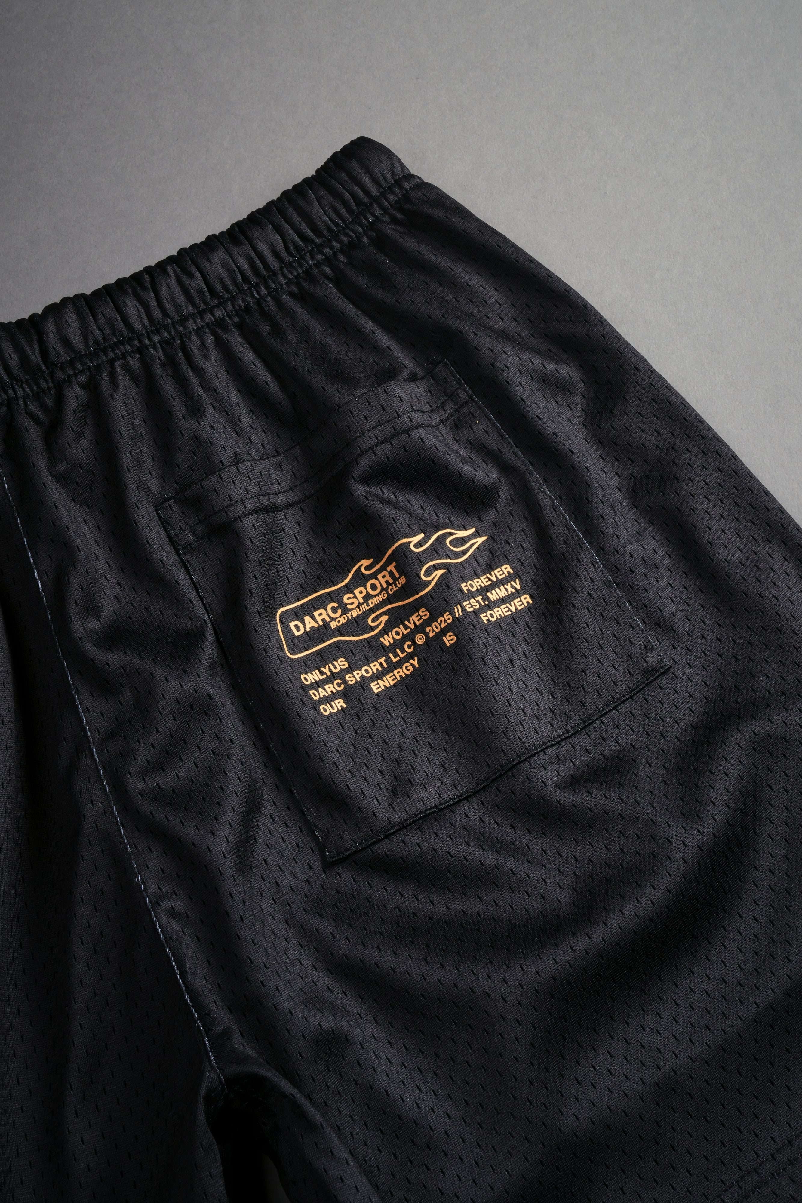 Go Wolves Mesh Shorts in Black – DarcSport