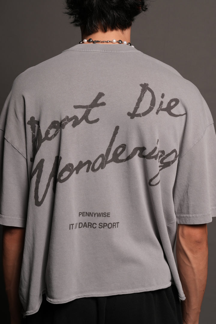 Pennywise Premium Raw Hem Box Cut Tee In Dove Gray