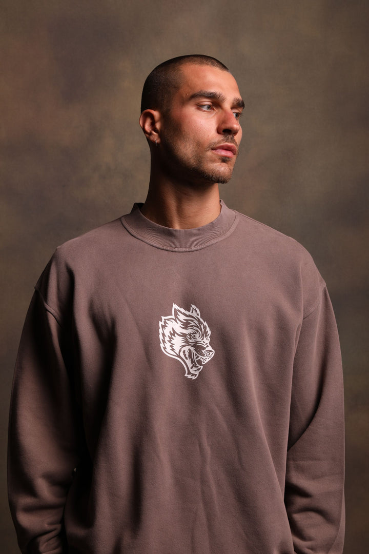 Living Cornell Crewneck in Pigment Mojave Brown