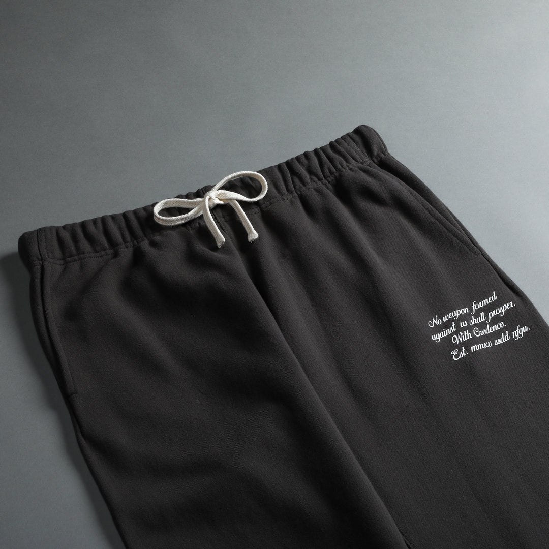 Sacred Heart Bigelow Sweat Pants in Wolf Gray