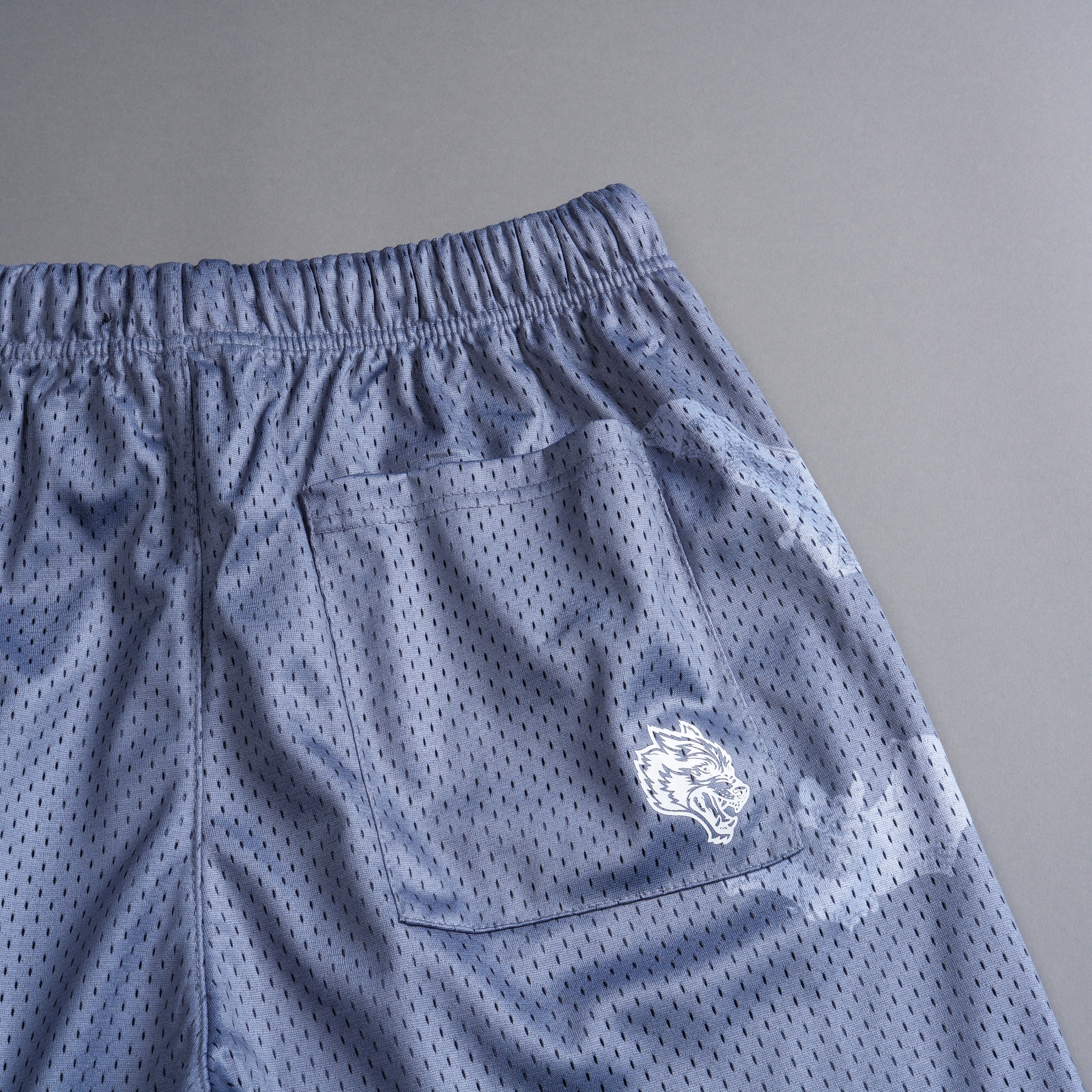 Darc Cave Mesh Shorts in Purple Stone