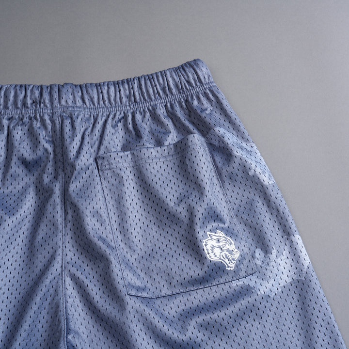 Darc Cave Mesh Shorts in Purple Stone