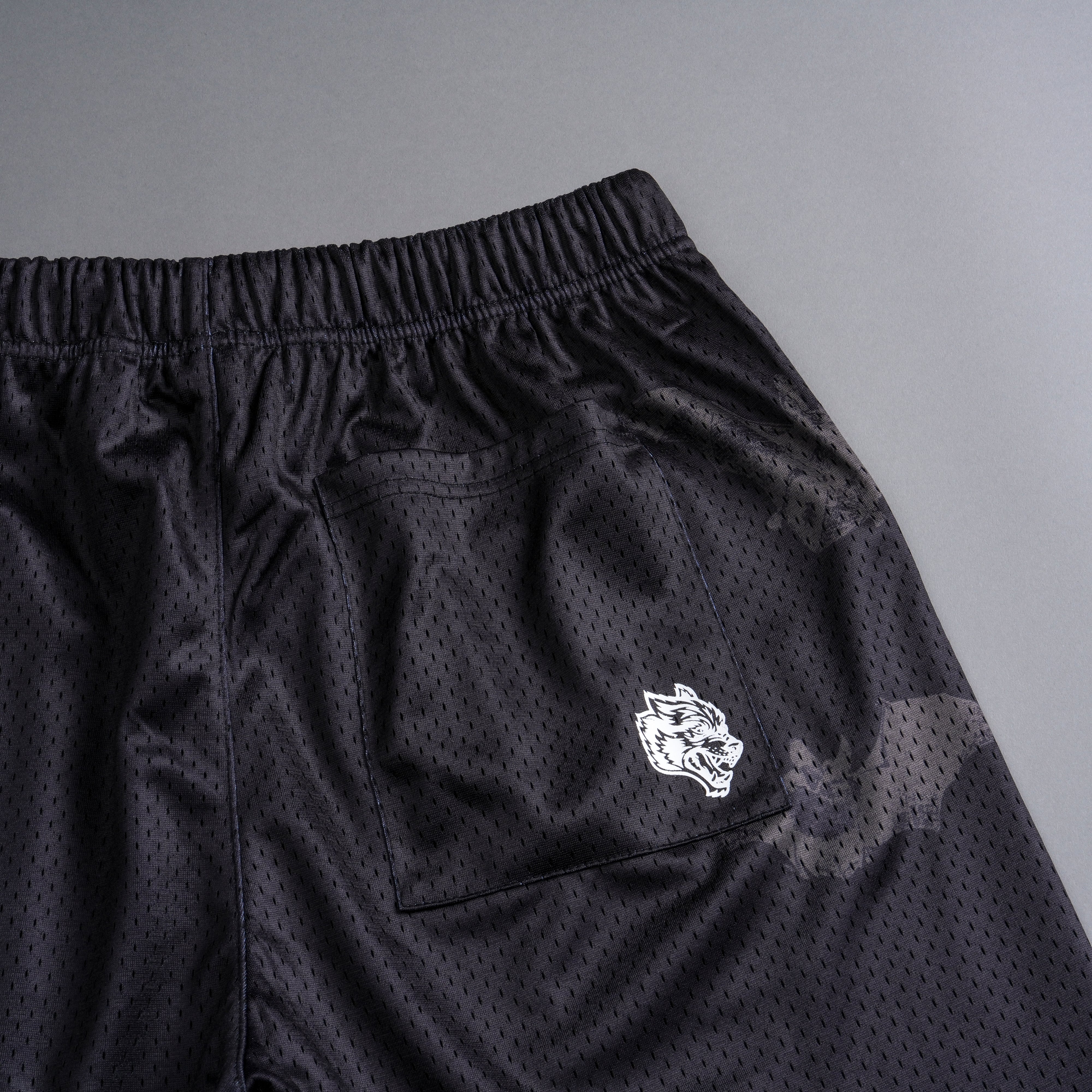 Darc Cave Mesh Shorts in Black