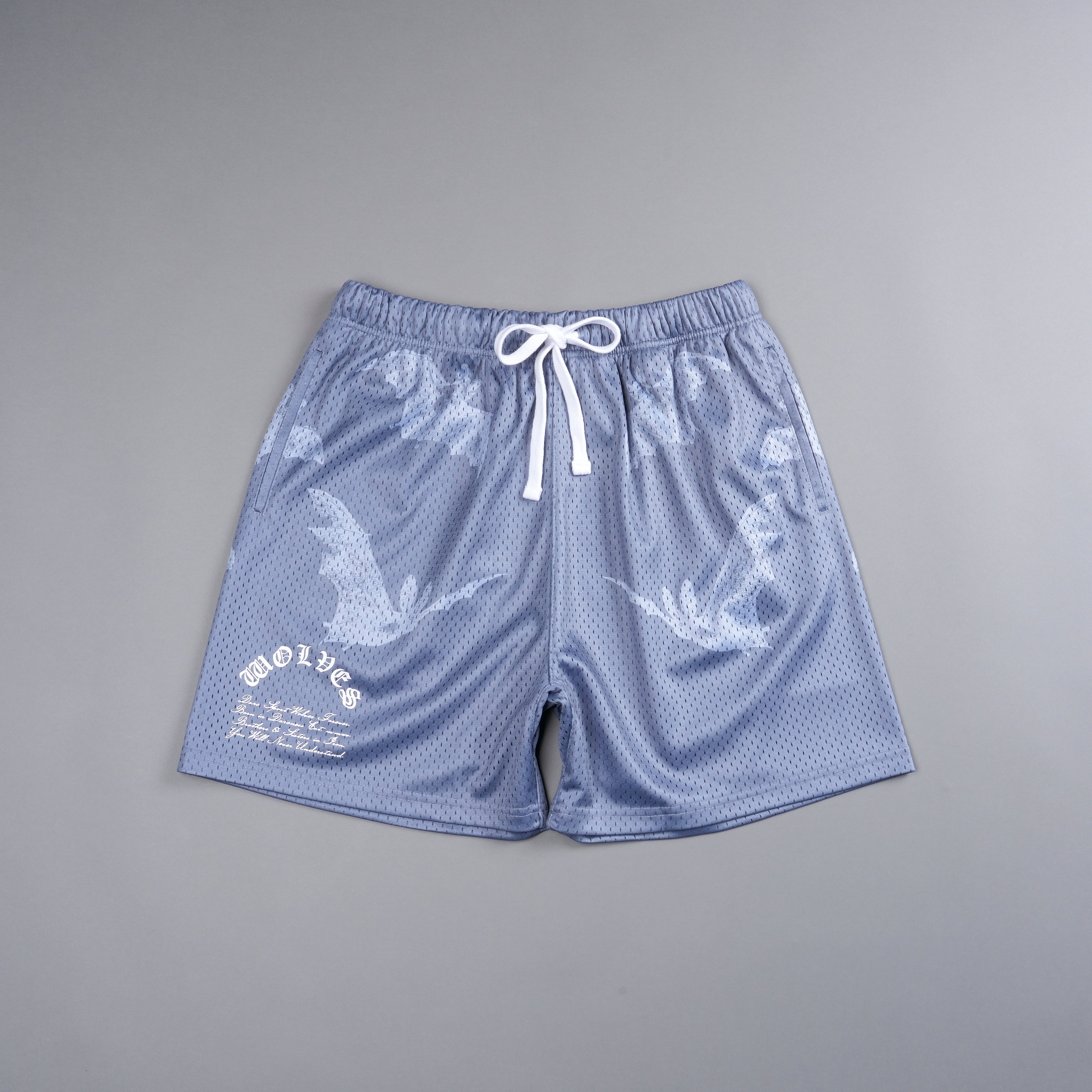 Darc Cave Mesh Shorts in Purple Stone