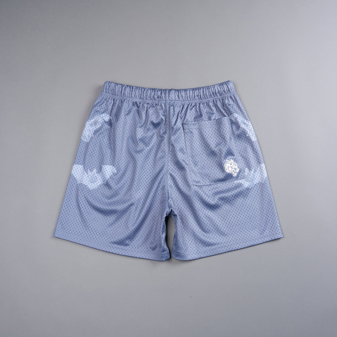 Darc Cave Mesh Shorts in Purple Stone