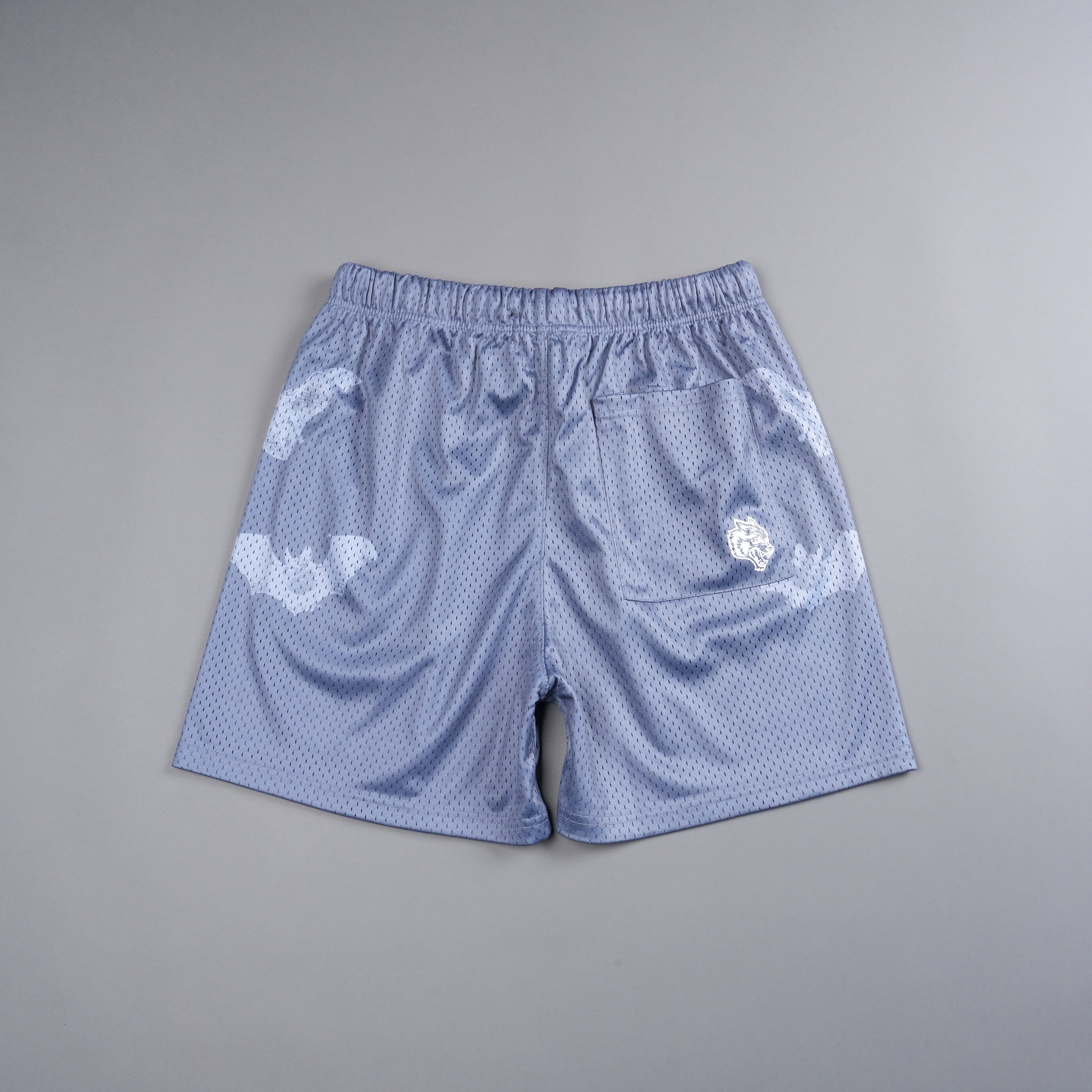 Darc Cave Mesh Shorts in Purple Stone