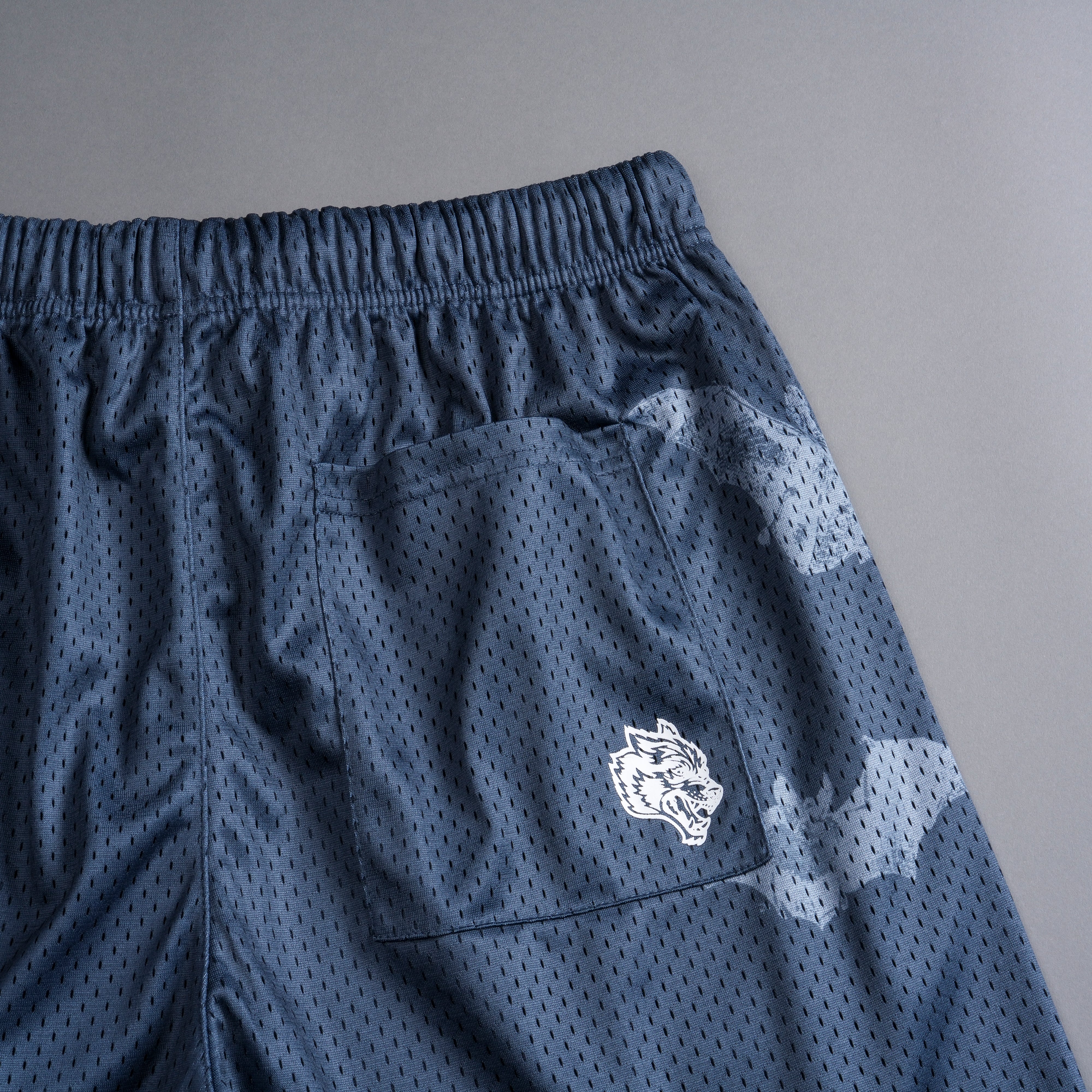 Darc Cave Mesh Shorts in Gotham Blue