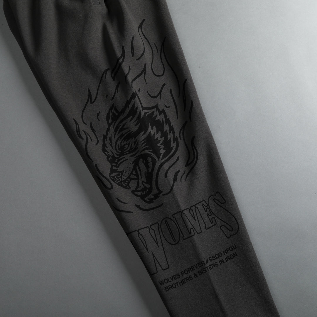 Test Your Might Kumite V2 Sweat Pants in Wolf Gray