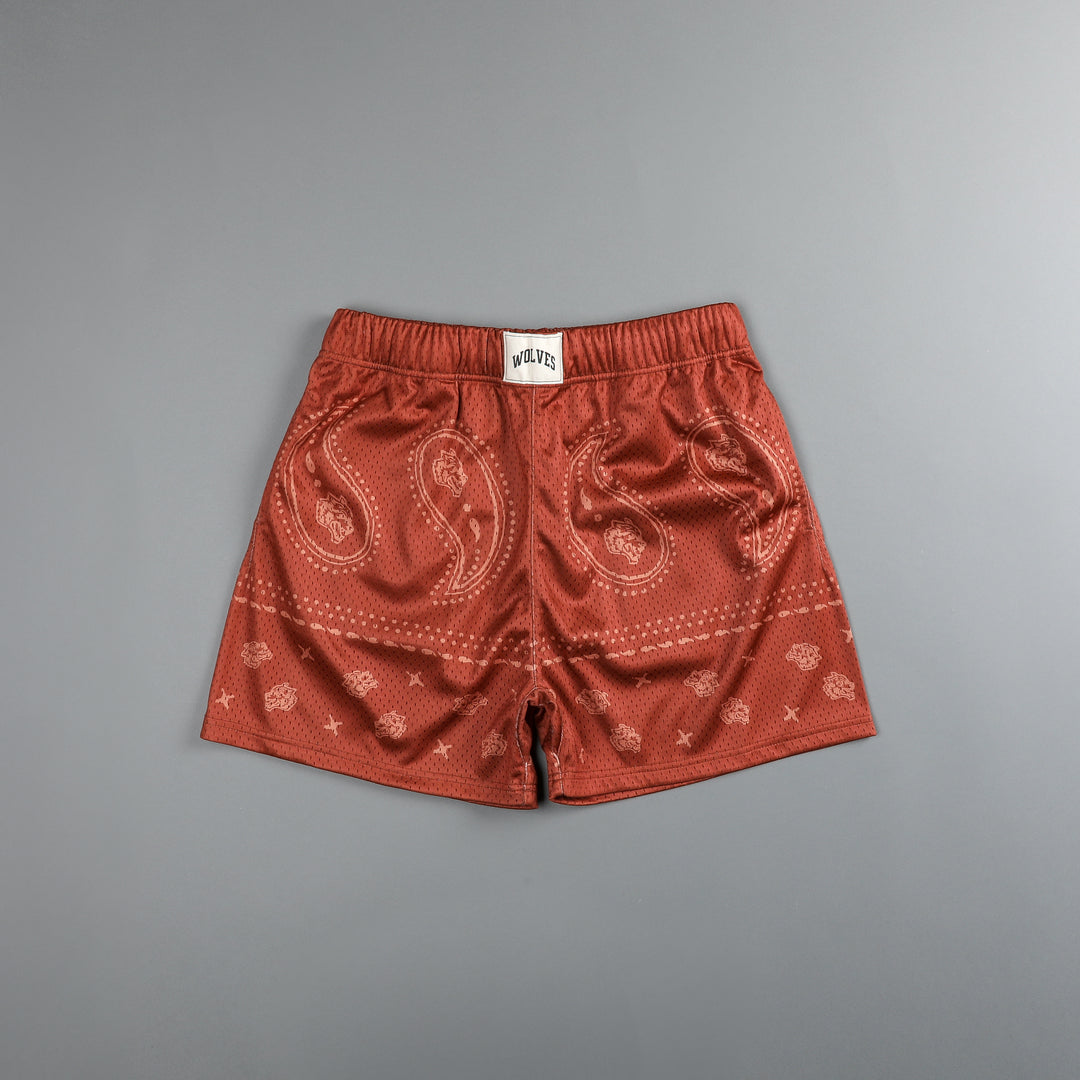 Southwest Paisley Patch Liam 4.5" Mesh Shorts in Clay