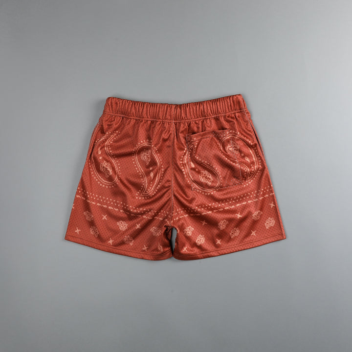 Southwest Paisley Patch Liam 4.5" Mesh Shorts in Clay