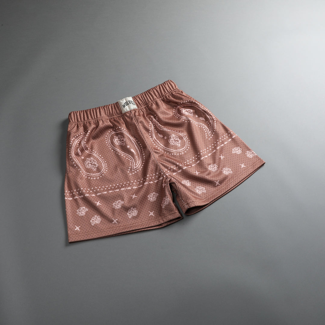 Southwest Paisley Patch Liam 4.5" Mesh Shorts in Desert Rose