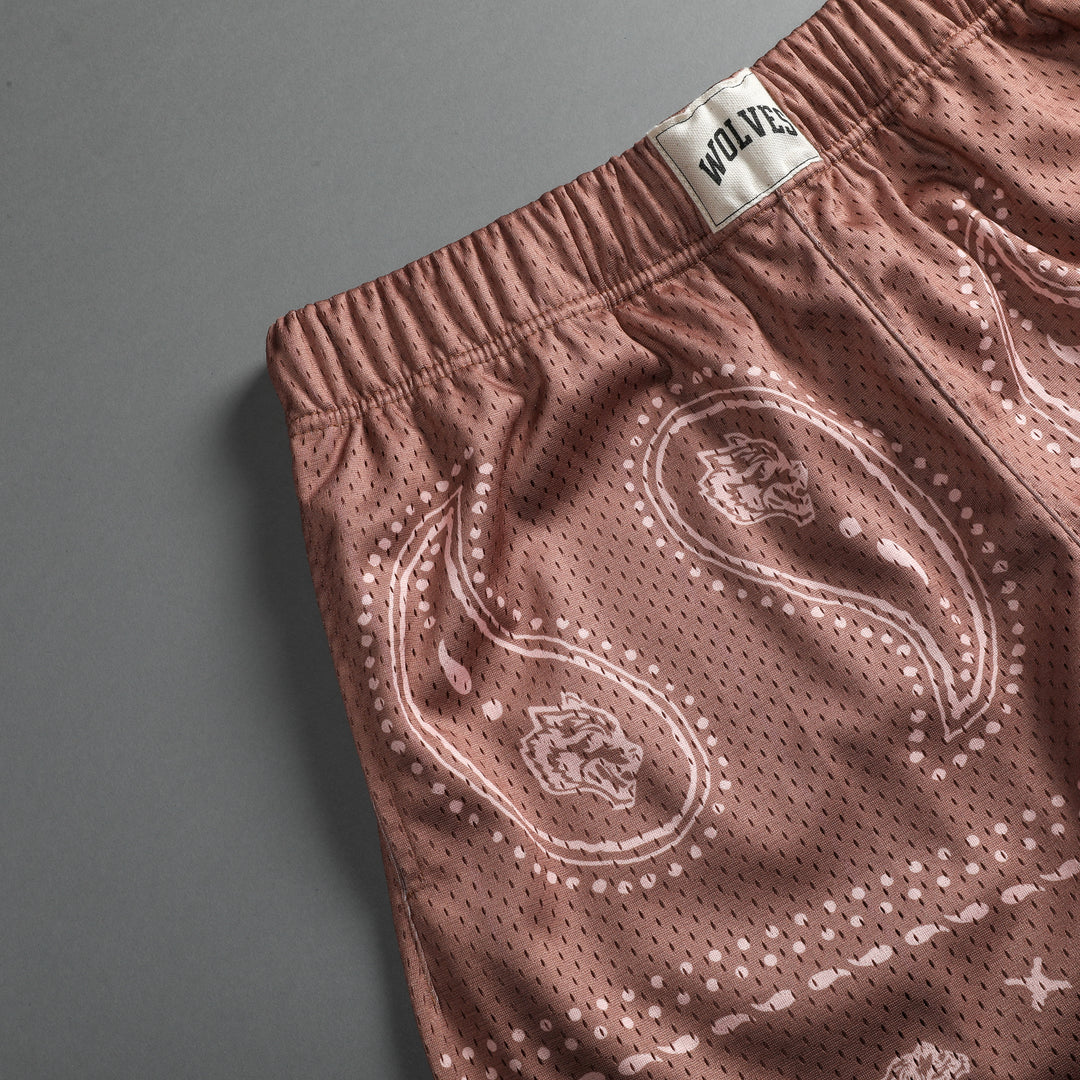 Southwest Paisley Patch Liam 4.5" Mesh Shorts in Desert Rose