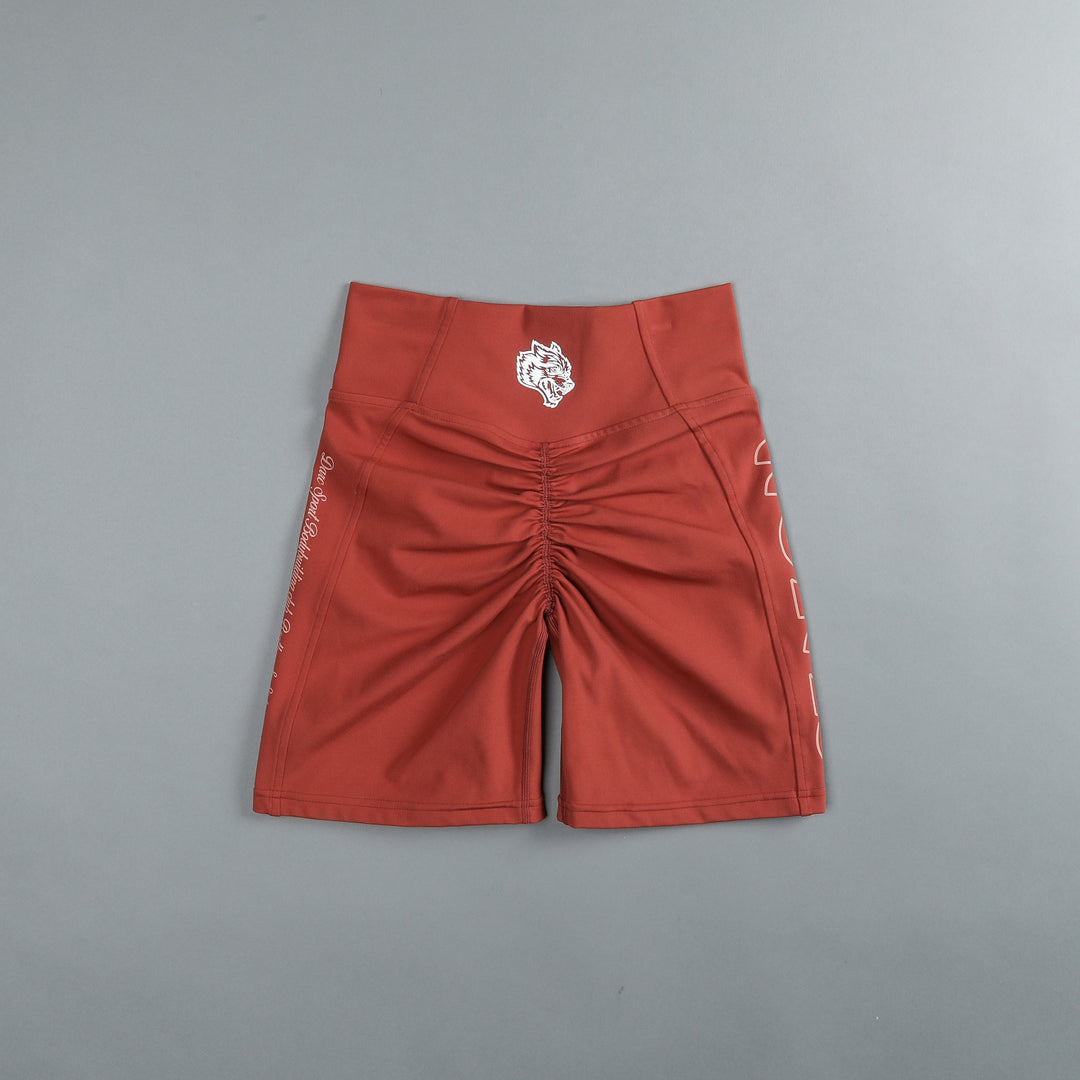 Writing's On The Wall "Georgia" Energy Shorts in Canyon Rust