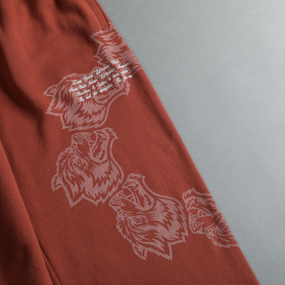 Surrounded She Big Cozy Sweats in Canyon Rust