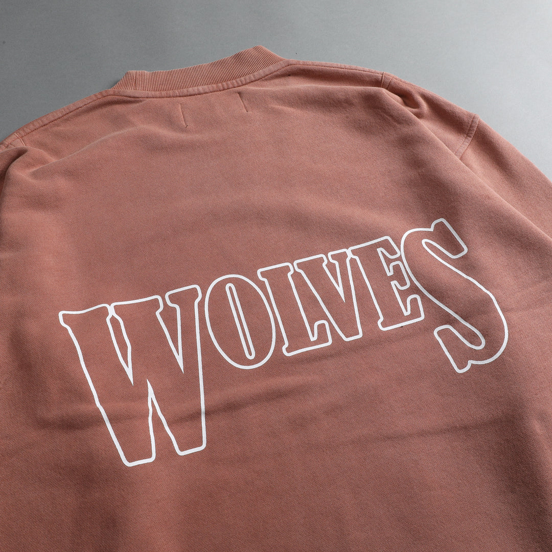 Living Cornell Crewneck in Pigment Desert Rose