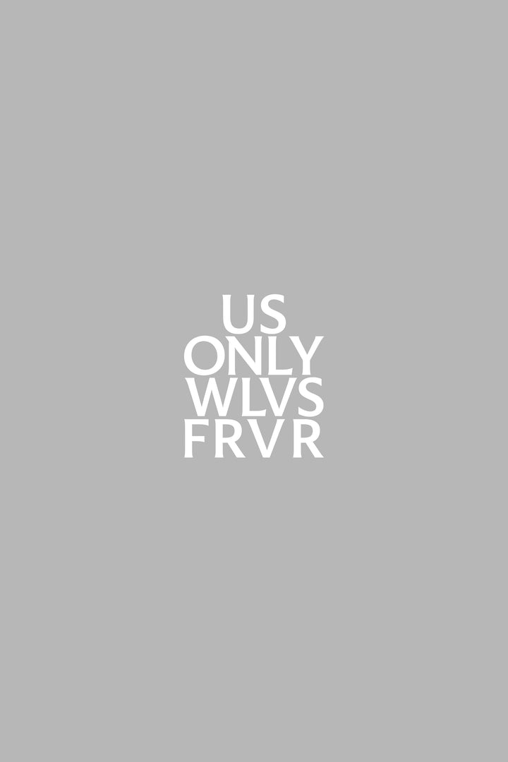 Us Small Vinyl Decal in White