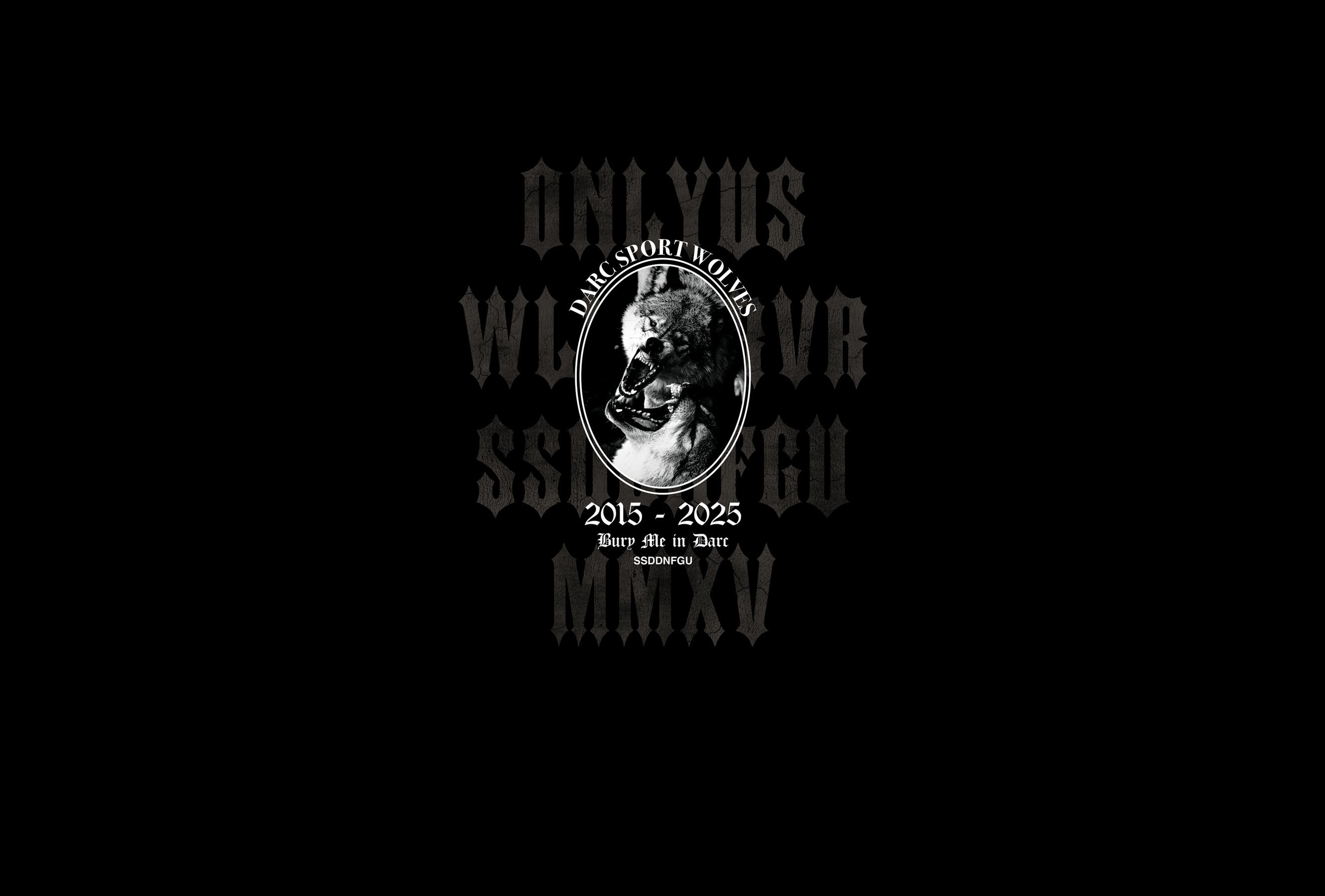 ☆美品☆DARC SPORT WOLVES size28 ☆美品☆DARC SPORT WOLVES size28