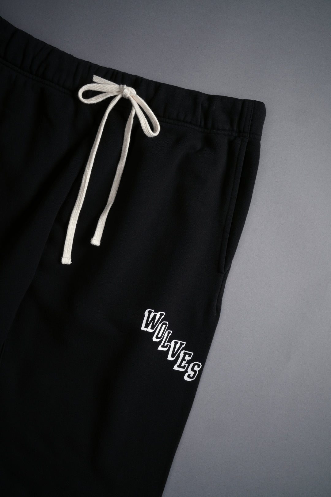 Journey Bigelow Sweat Pants in Black