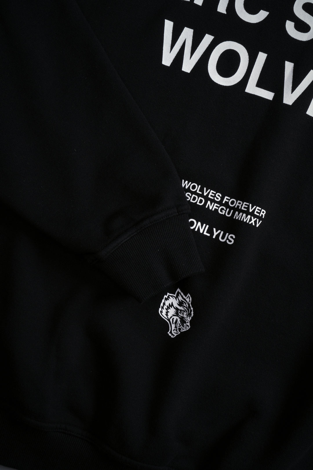 Darc Sport Wolves "Bishop" Hoodie in Black