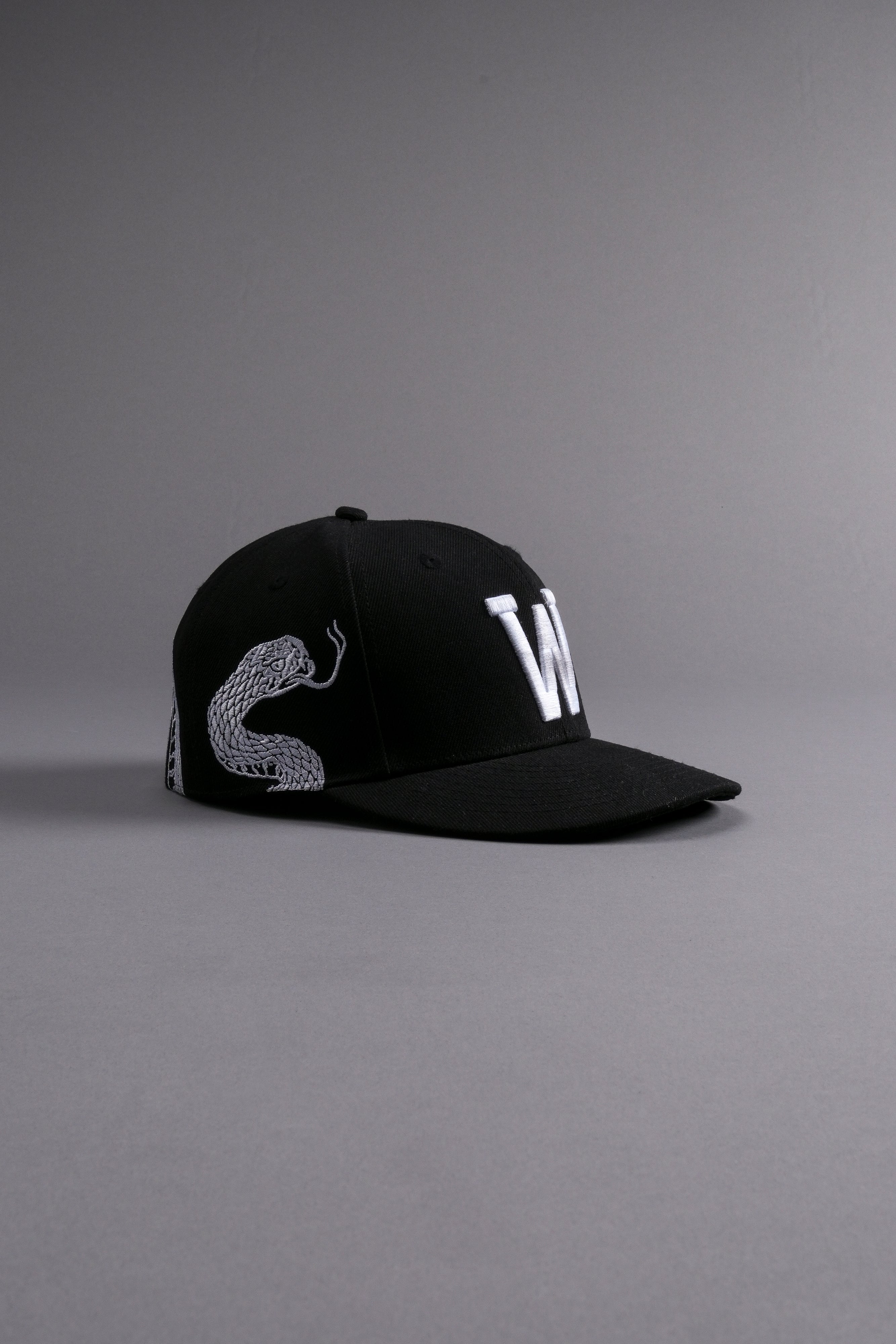 Revival Fitted Hat in Black