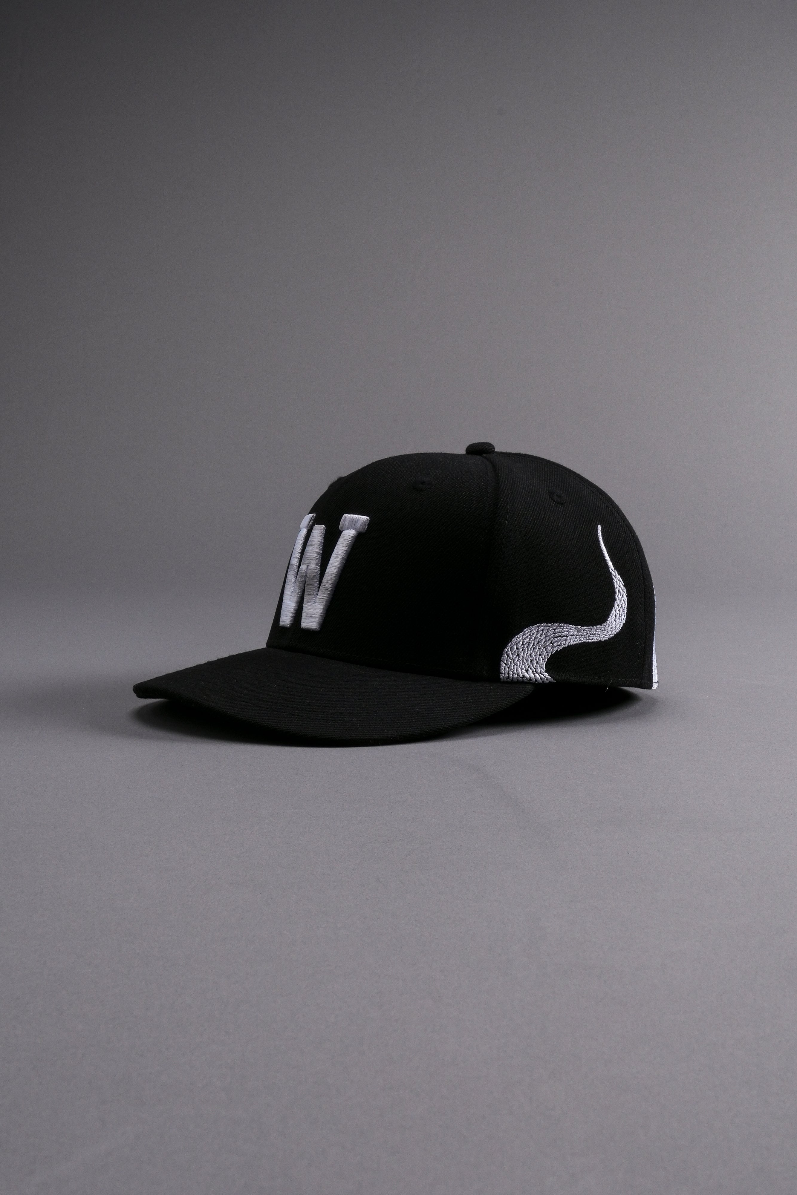 Revival Fitted Hat in Black