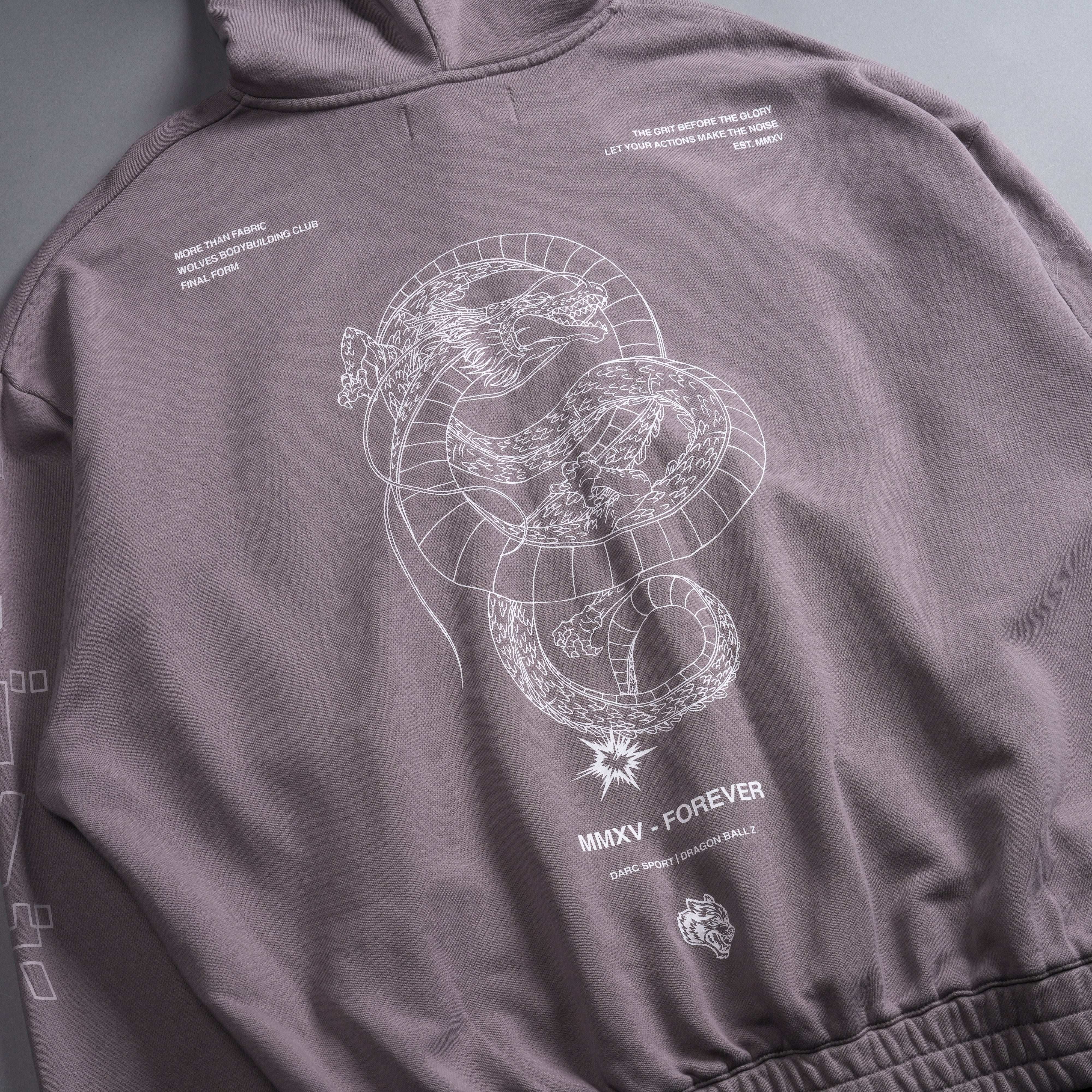 Shenron "Chambers" Zip Hoodie in Pale Gray