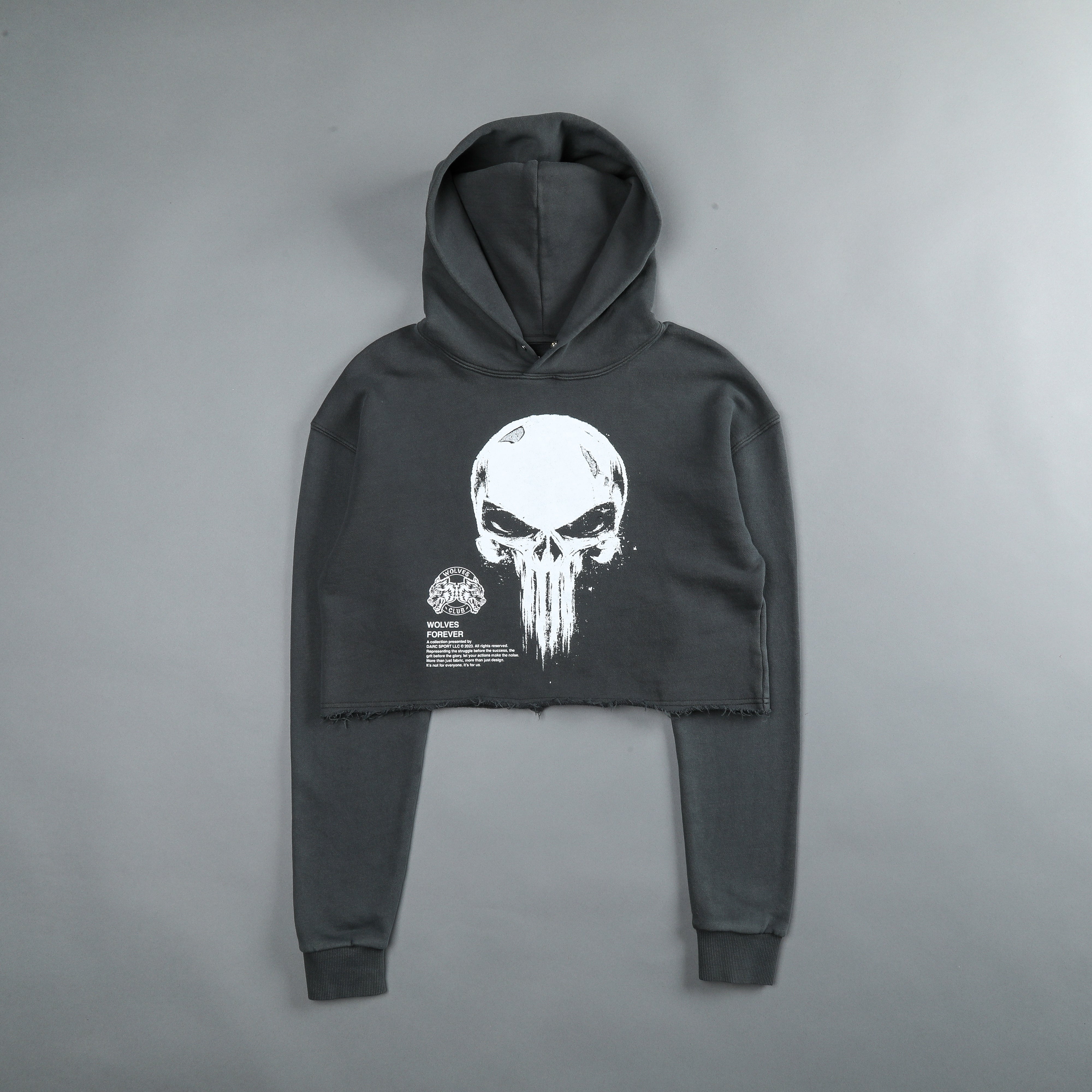 Carhartt discount punisher hoodie