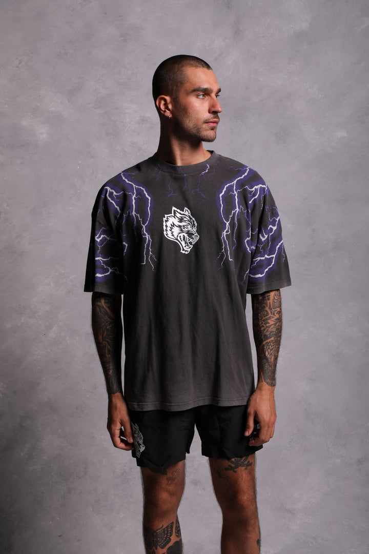 Above Us "Premium Vintage" Oversized Tee in Wolf Gray
