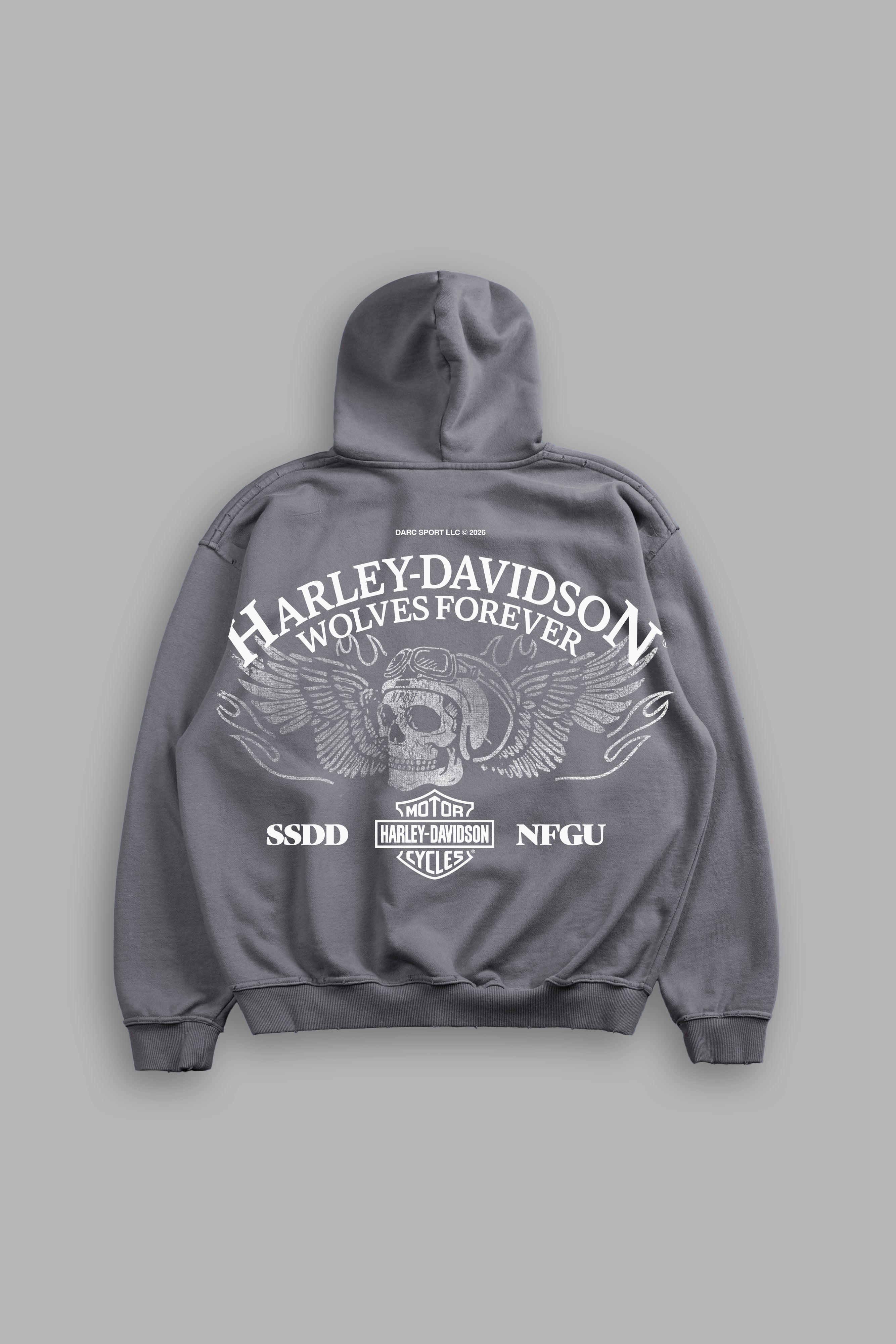 Live Free H-D Grunge Moatis Hoodie in Slate Gray