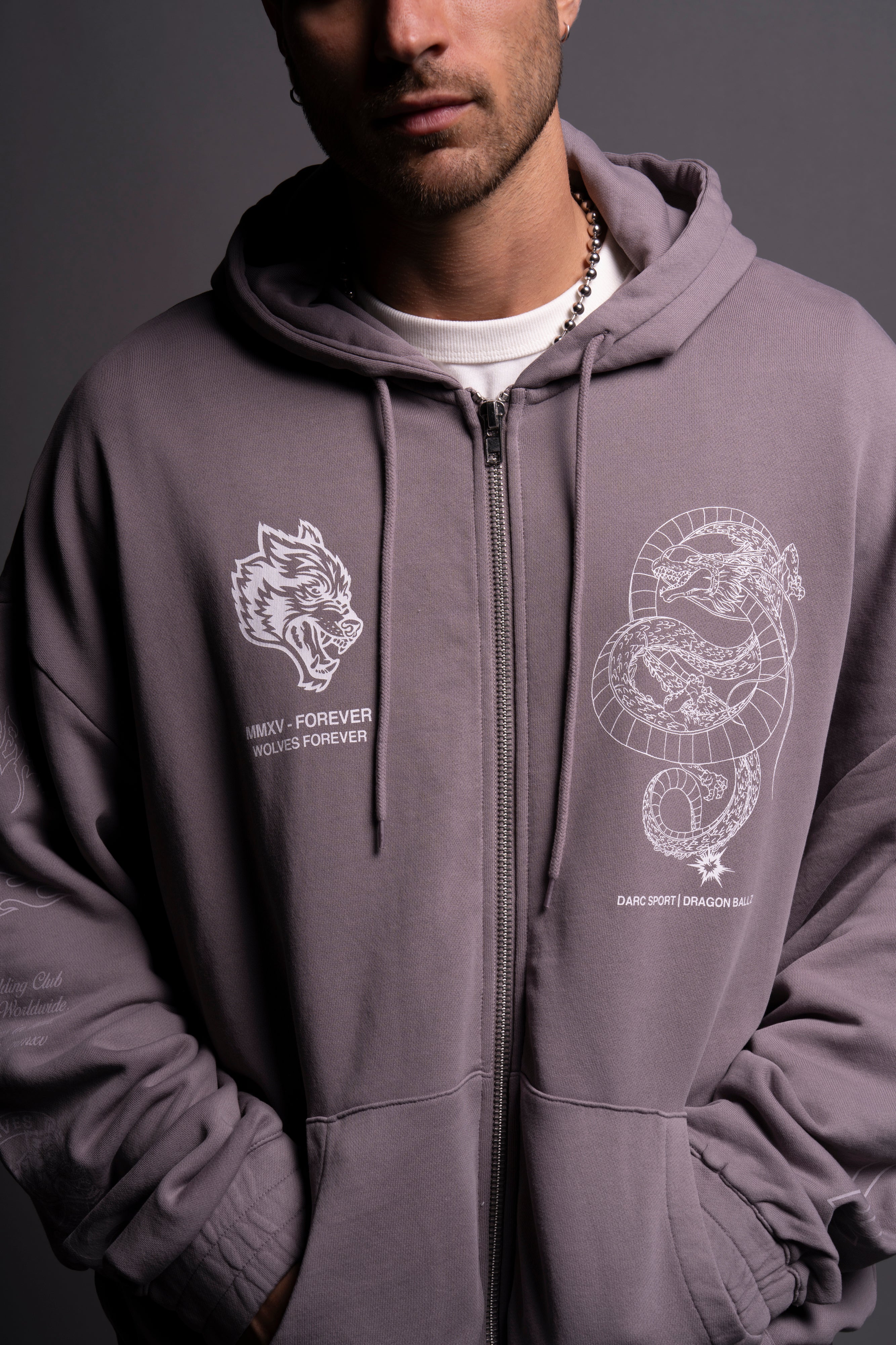 Shenron "Chambers" Zip Hoodie in Pale Gray
