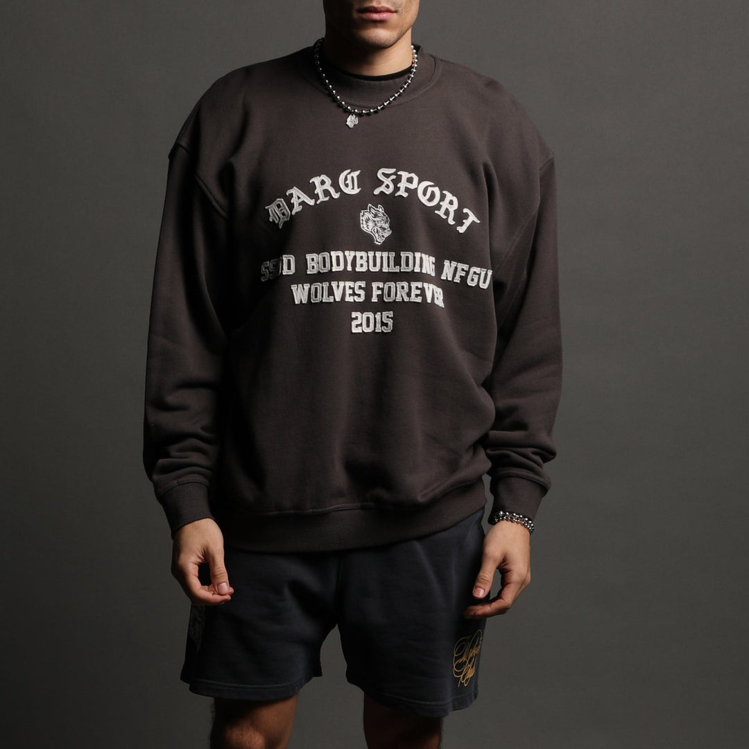 In This World Cornell Crewneck in Wolf Gray