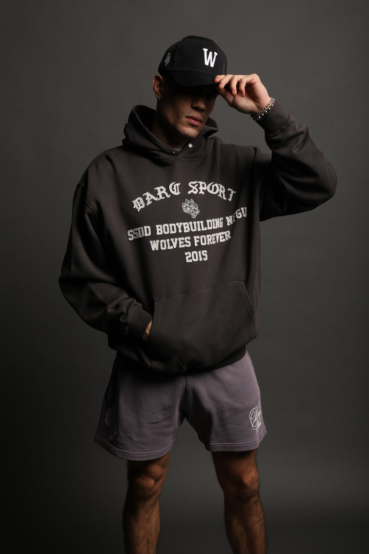 In This World "Pierce" Hoodie in Wolf Gray