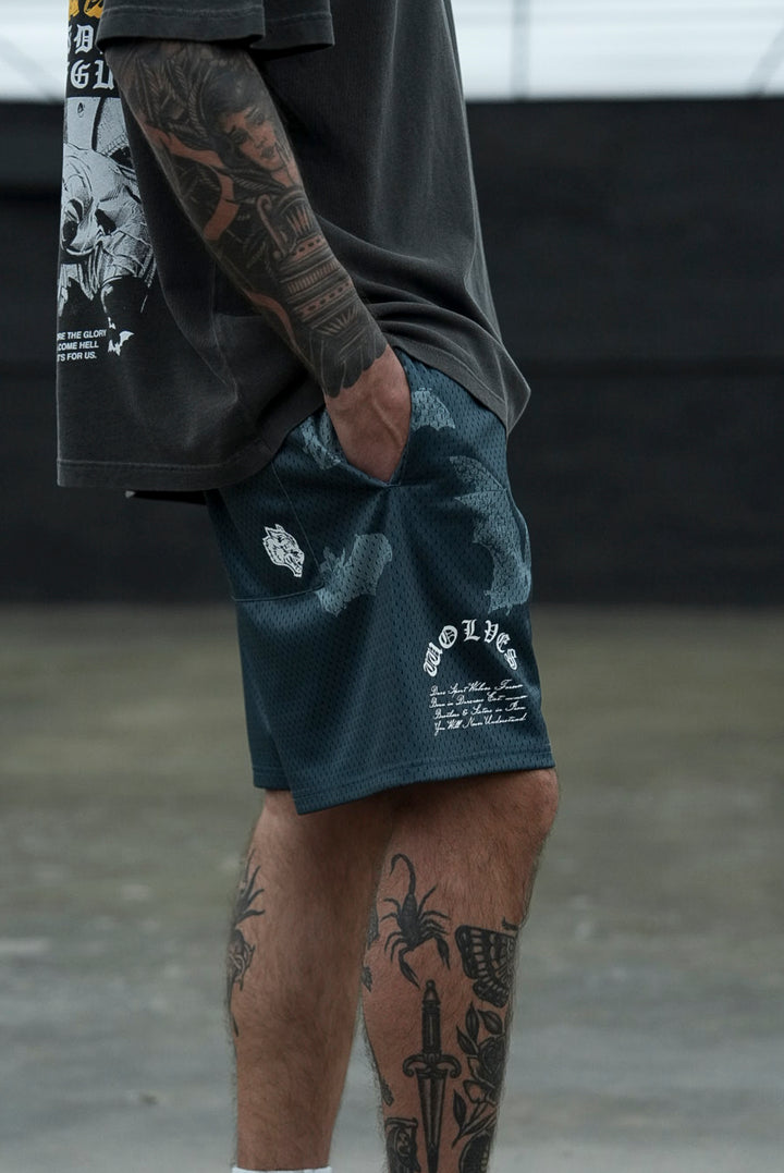 Darc Cave Mesh Shorts in Gotham Blue