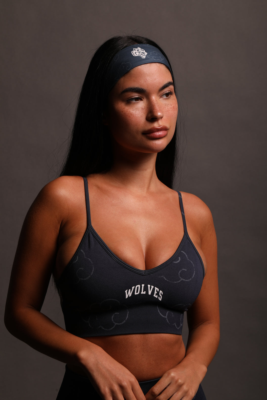 Wolf Cloud Loyalty "Everson Seamless" Sports Bra in Storm Blue
