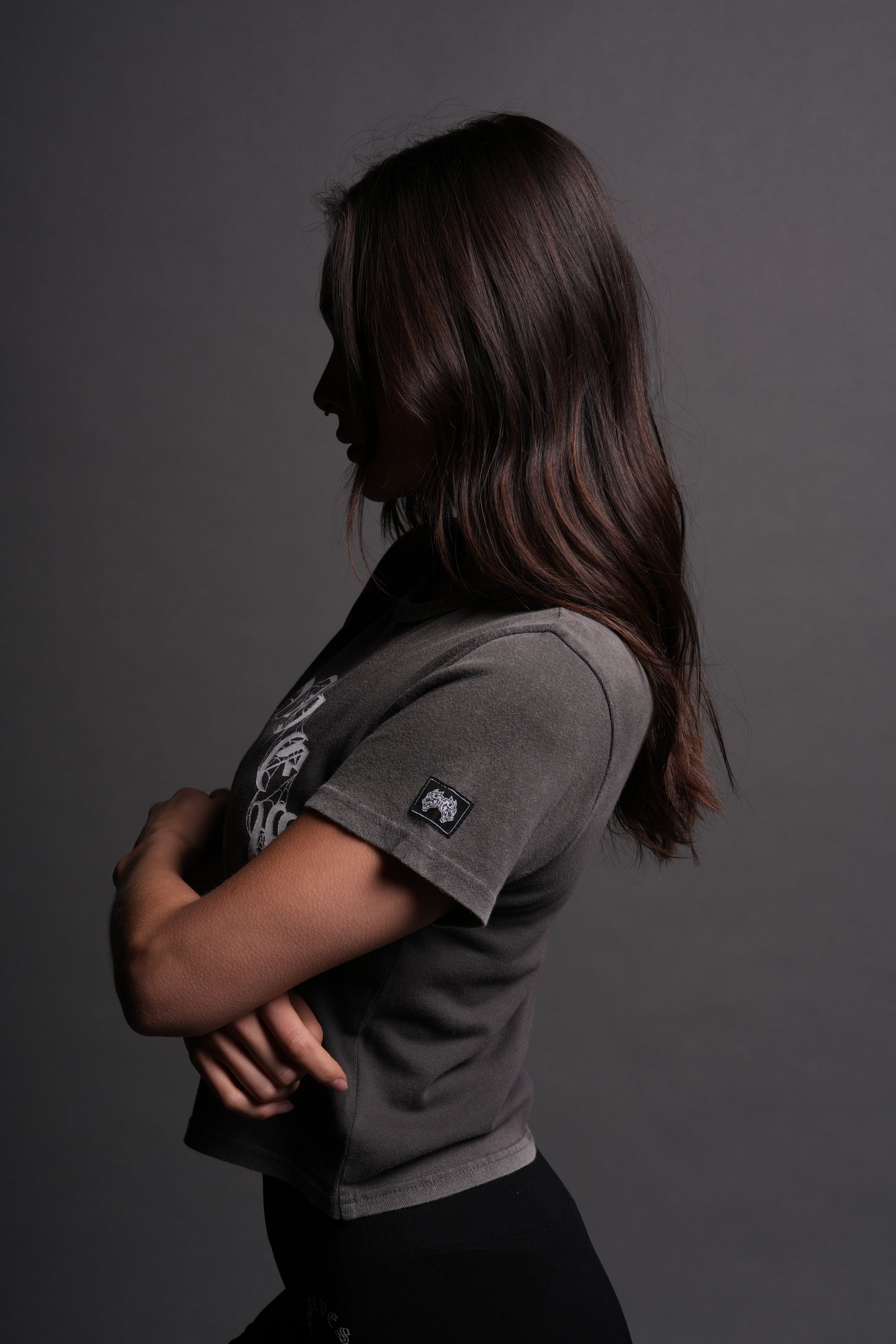 Chopper Webs "Timeless" Tee in Wolf Gray
