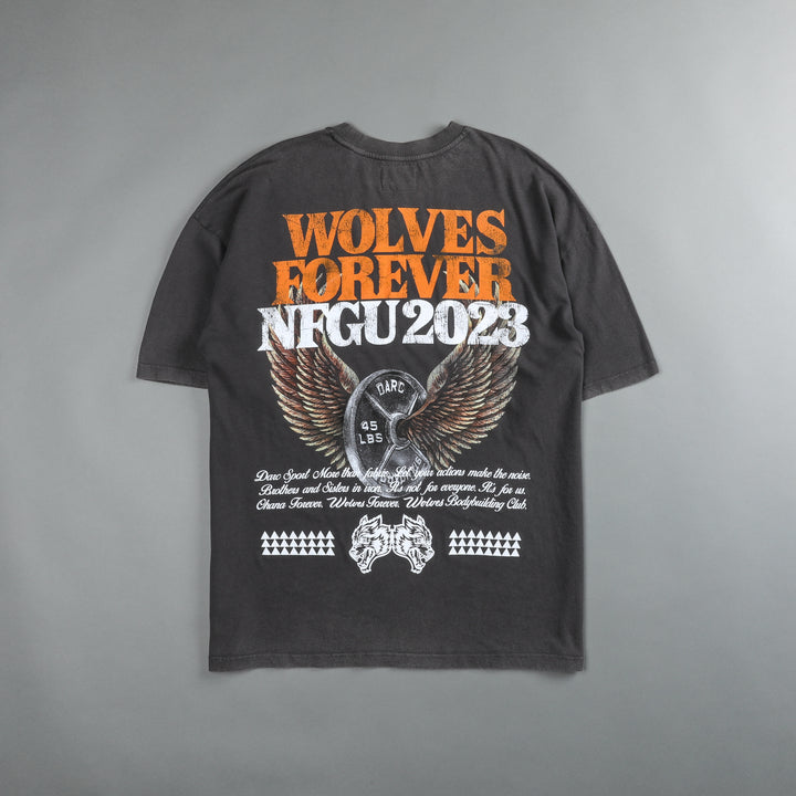 Fly Higher V2 "Premium Vintage" Oversized Tee in Wolf Gray