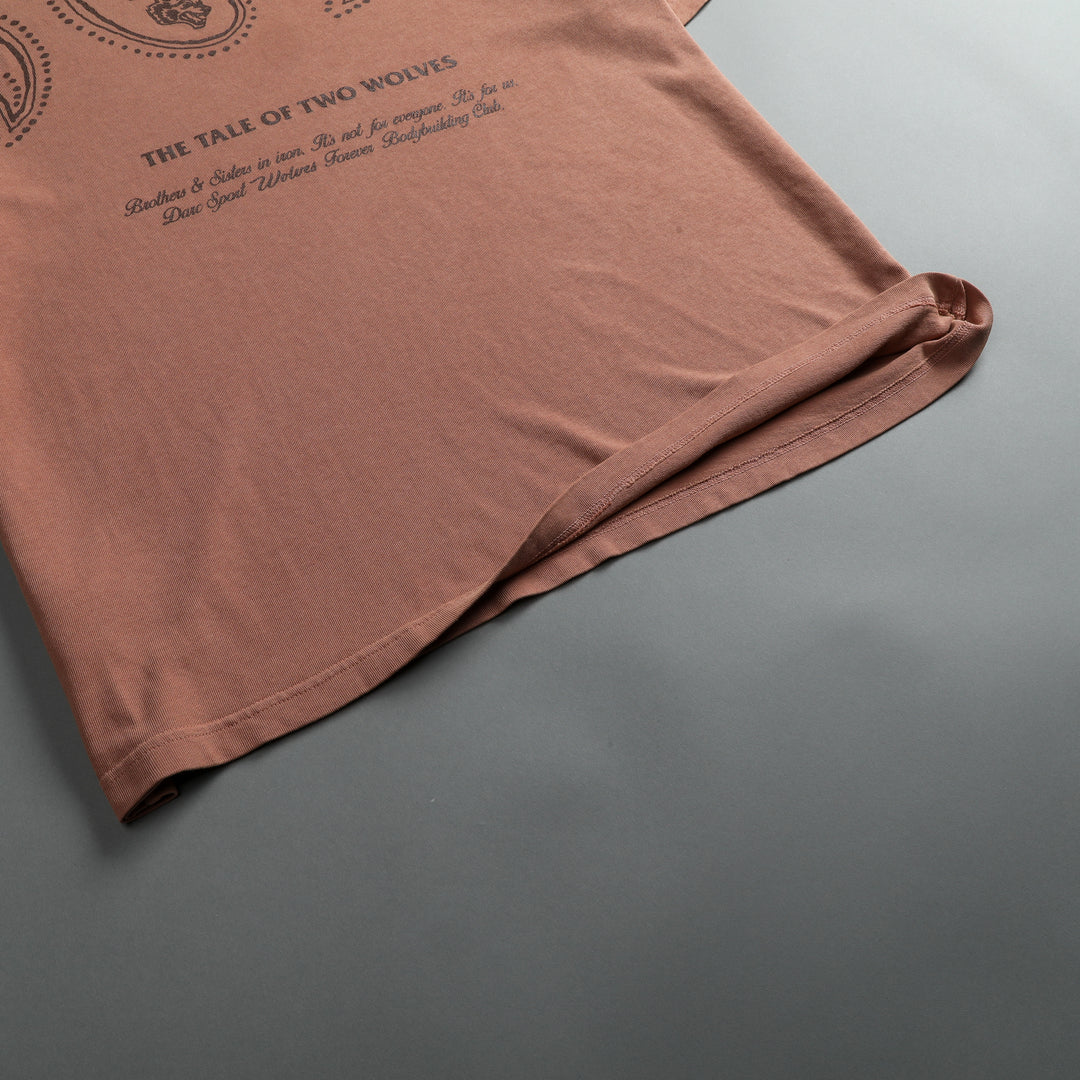 Southwest Paisley "Premium Vintage" Oversized Tee in Desert Rose