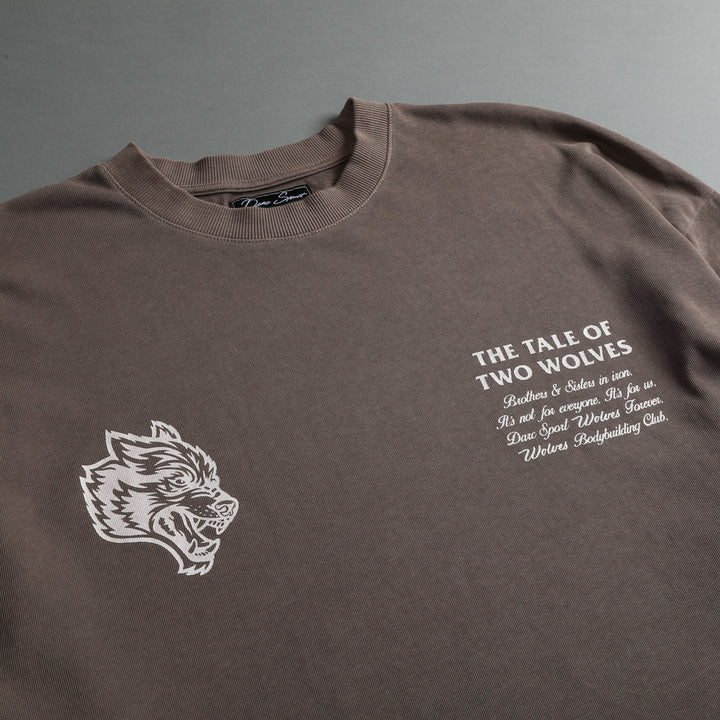 Southwest Paisley "Premium Vintage" Oversized Tee in Mojave Brown