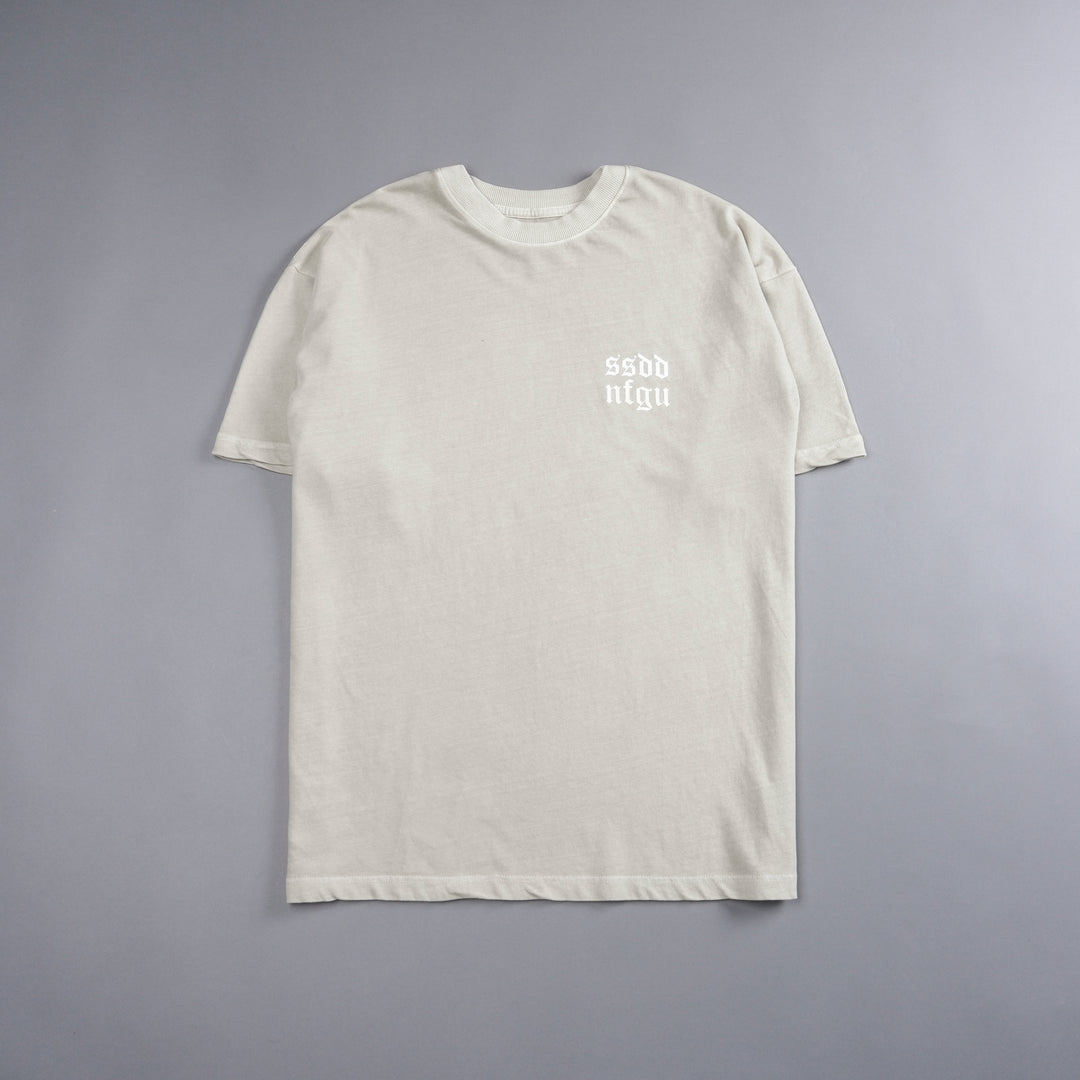 Just Look Up "Premium Vintage" Oversized Tee in Cactus Gray