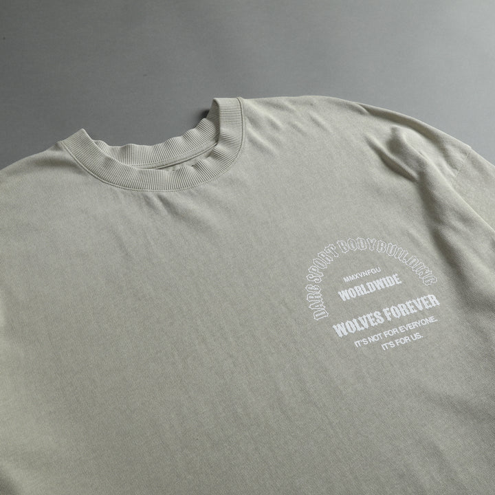 The One You Feed "Premium Vintage" Oversized Tee in Cactus Gray
