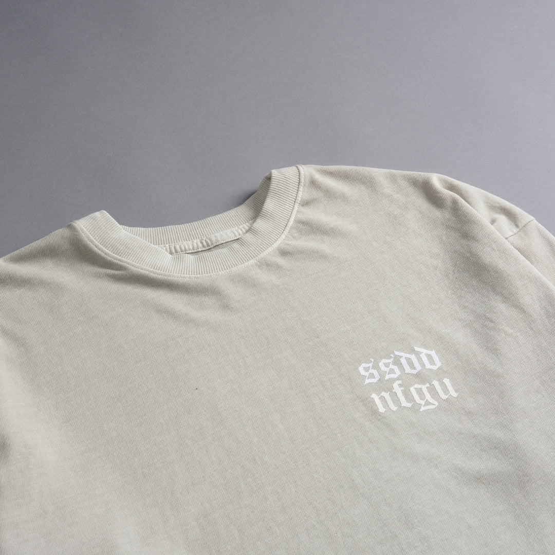 Just Look Up "Premium Vintage" Oversized Tee in Cactus Gray