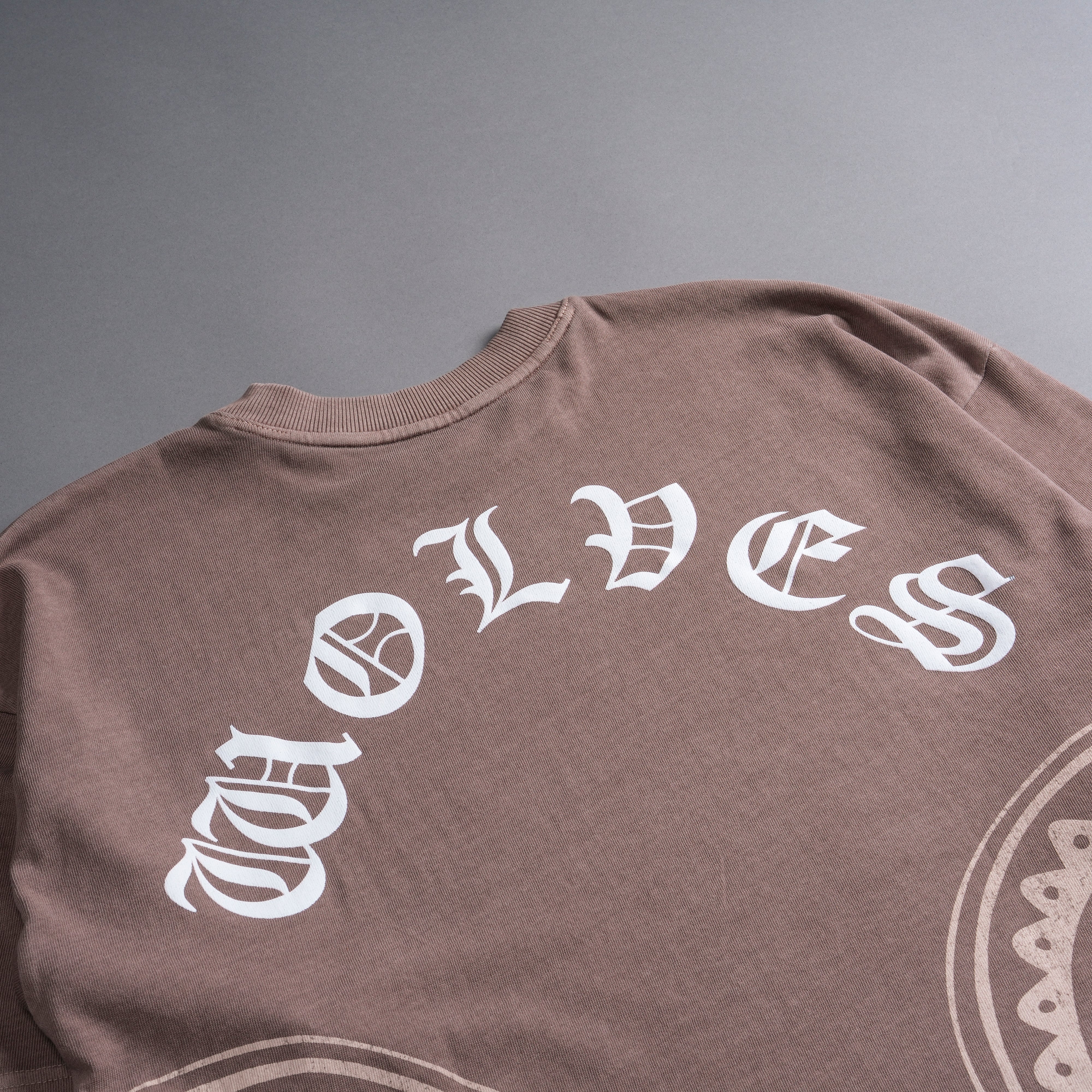 Two Wolves "Premium Vintage" Oversized Unisex Tee in Mojave Brown