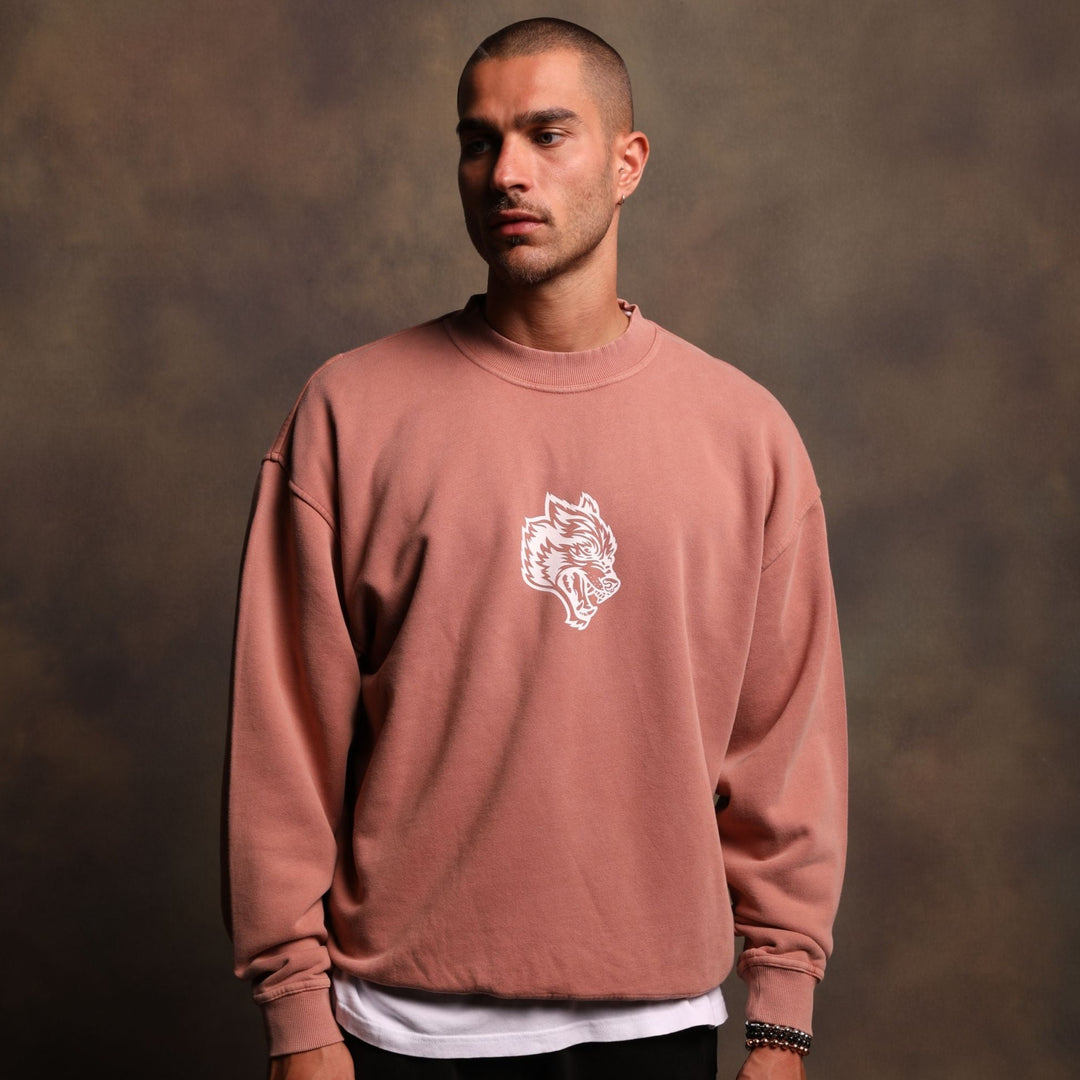 Living Cornell Crewneck in Pigment Desert Rose